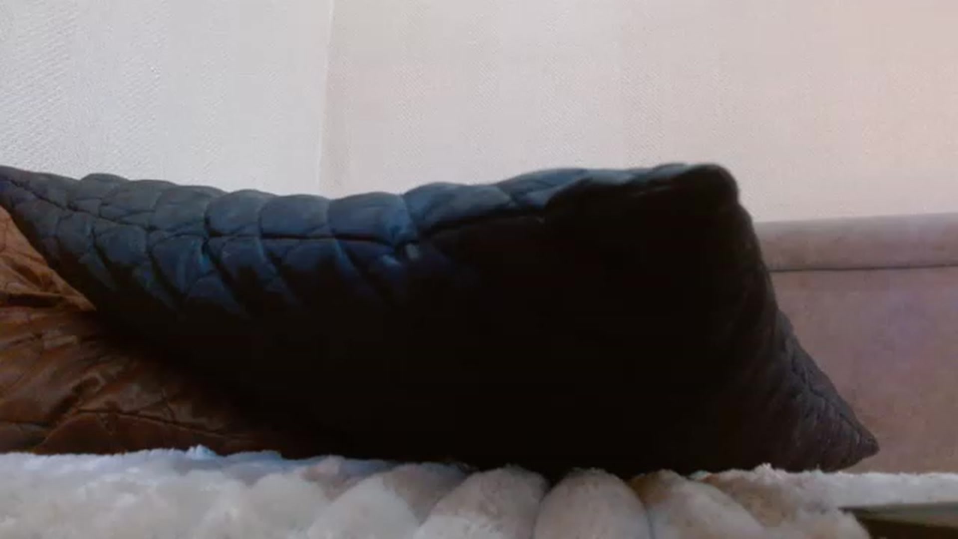 Gallery image thumbnail from NotGood's myfreecams stream on, 05/22/2023, 10:00 image 15 of 20