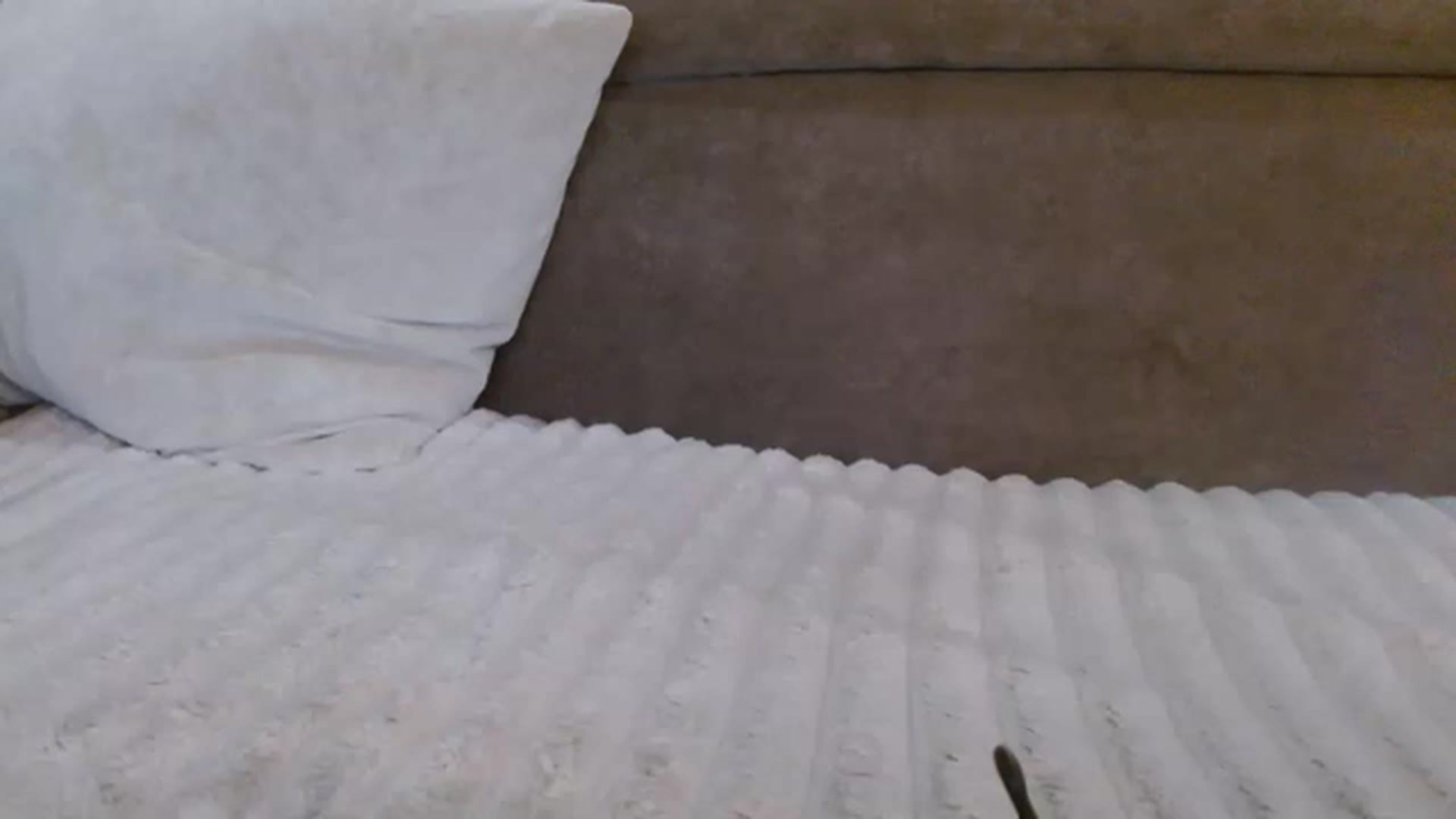 Gallery image thumbnail from NotGood's myfreecams stream on, 05/22/2023, 12:10 image 7 of 20
