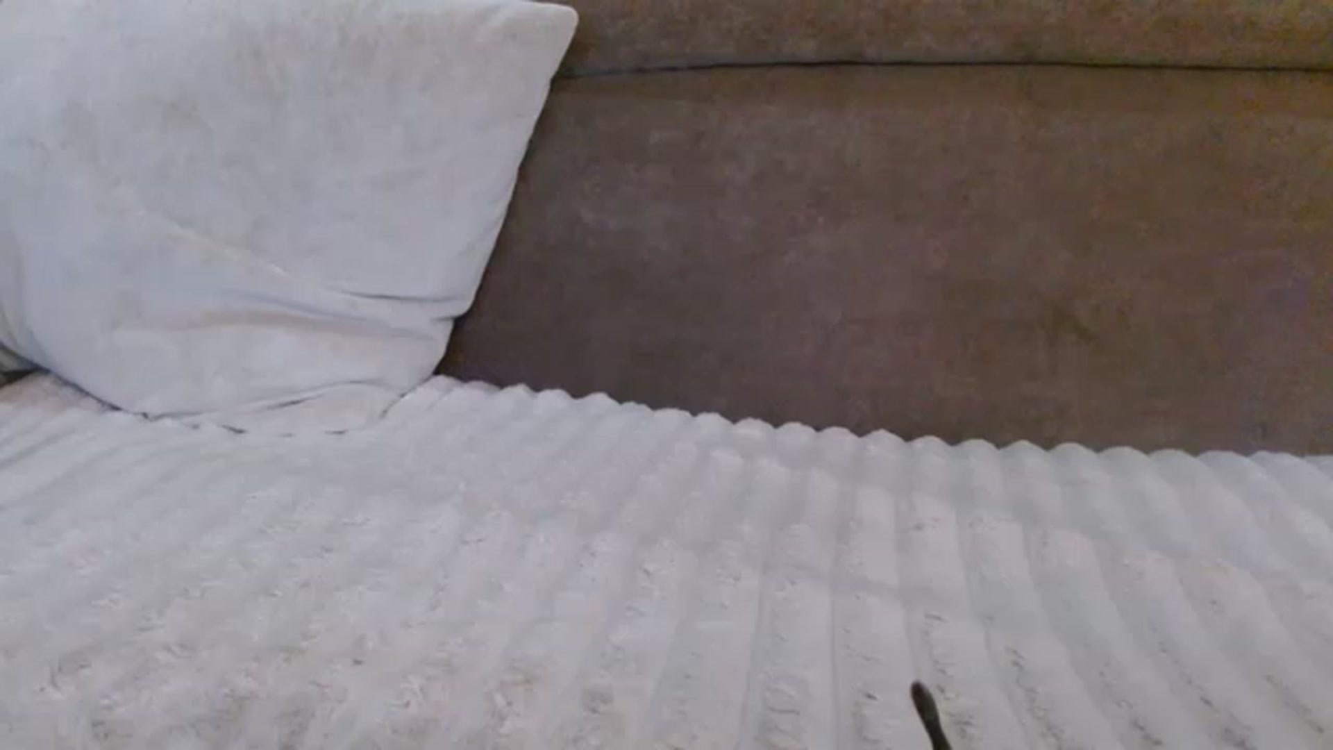 Gallery image thumbnail from NotGood's myfreecams stream on, 05/22/2023, 12:10 image 6 of 20