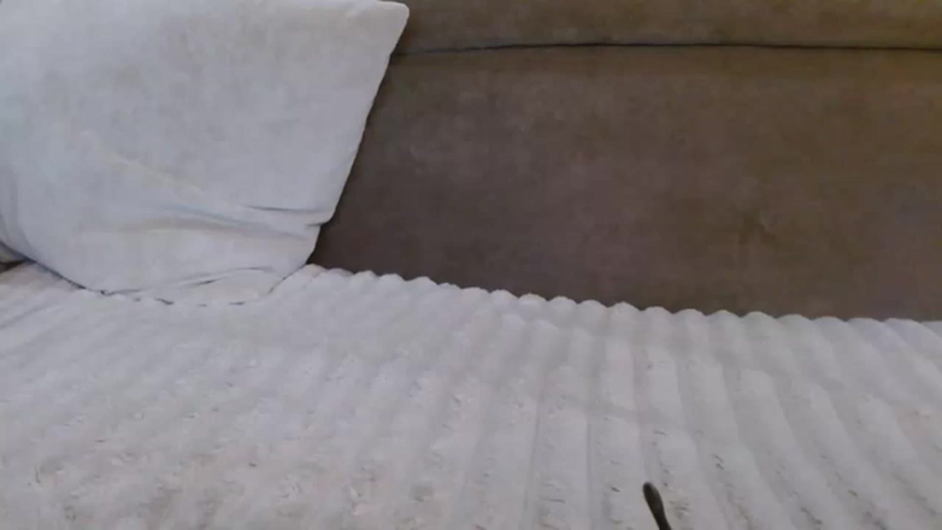 Gallery image thumbnail from NotGood's myfreecams stream on, 05/22/2023, 12:10 image 8 of 20