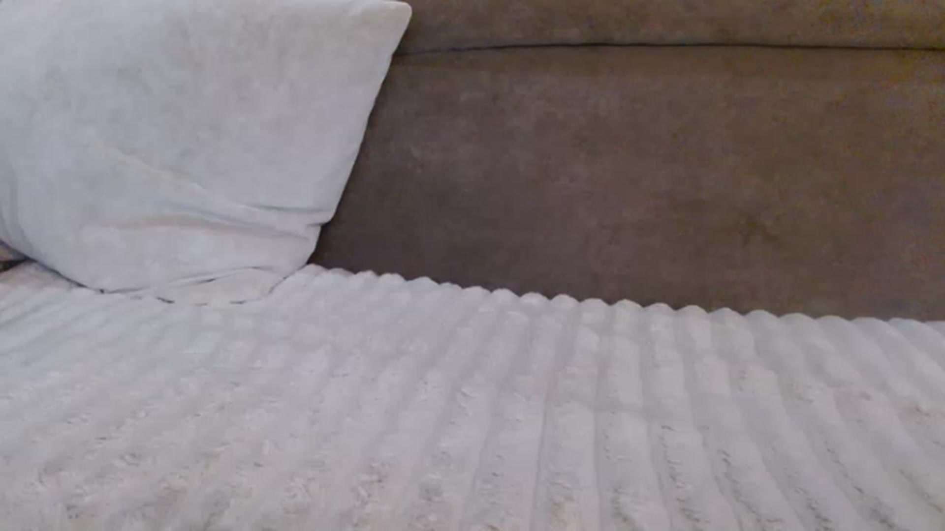 Gallery image thumbnail from NotGood's myfreecams stream on, 05/22/2023, 12:10 image 15 of 20