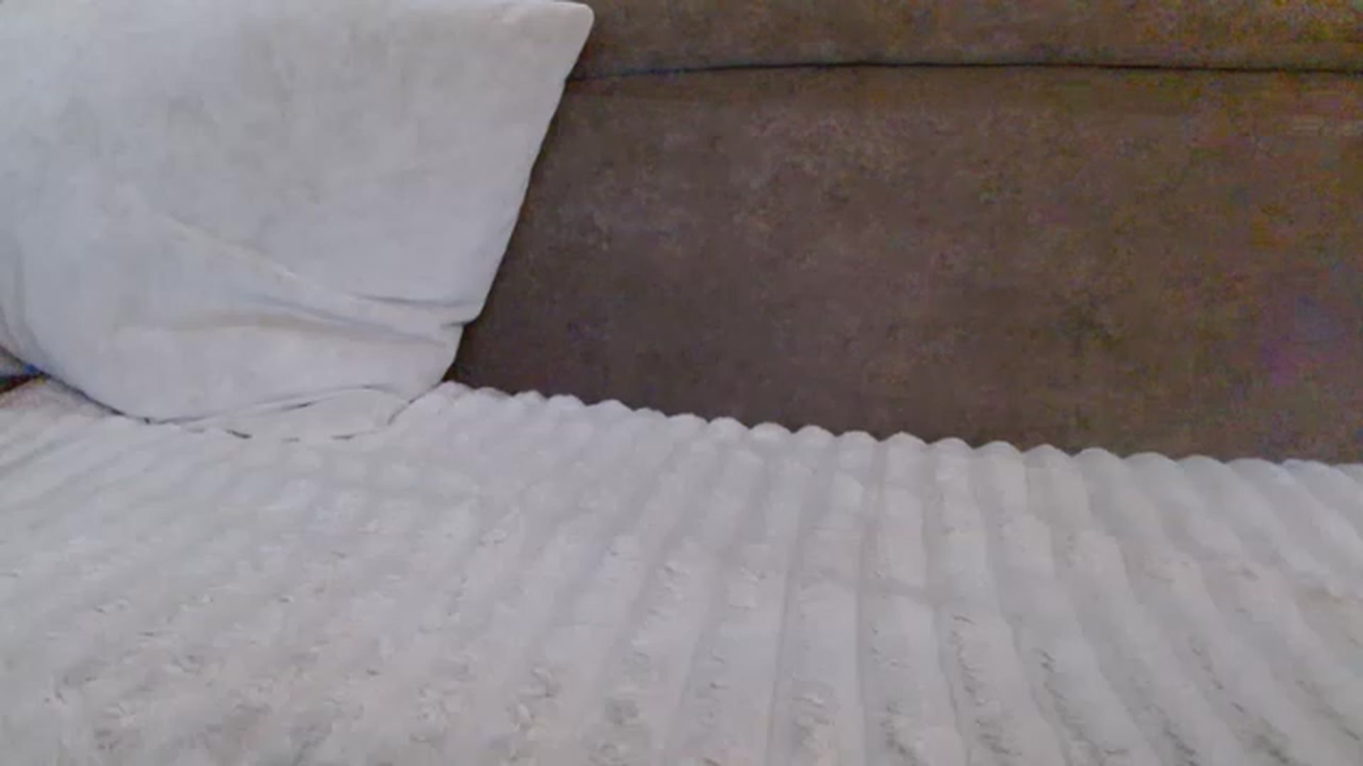 Gallery image thumbnail from NotGood's myfreecams stream on, 05/22/2023, 12:10 image 10 of 20