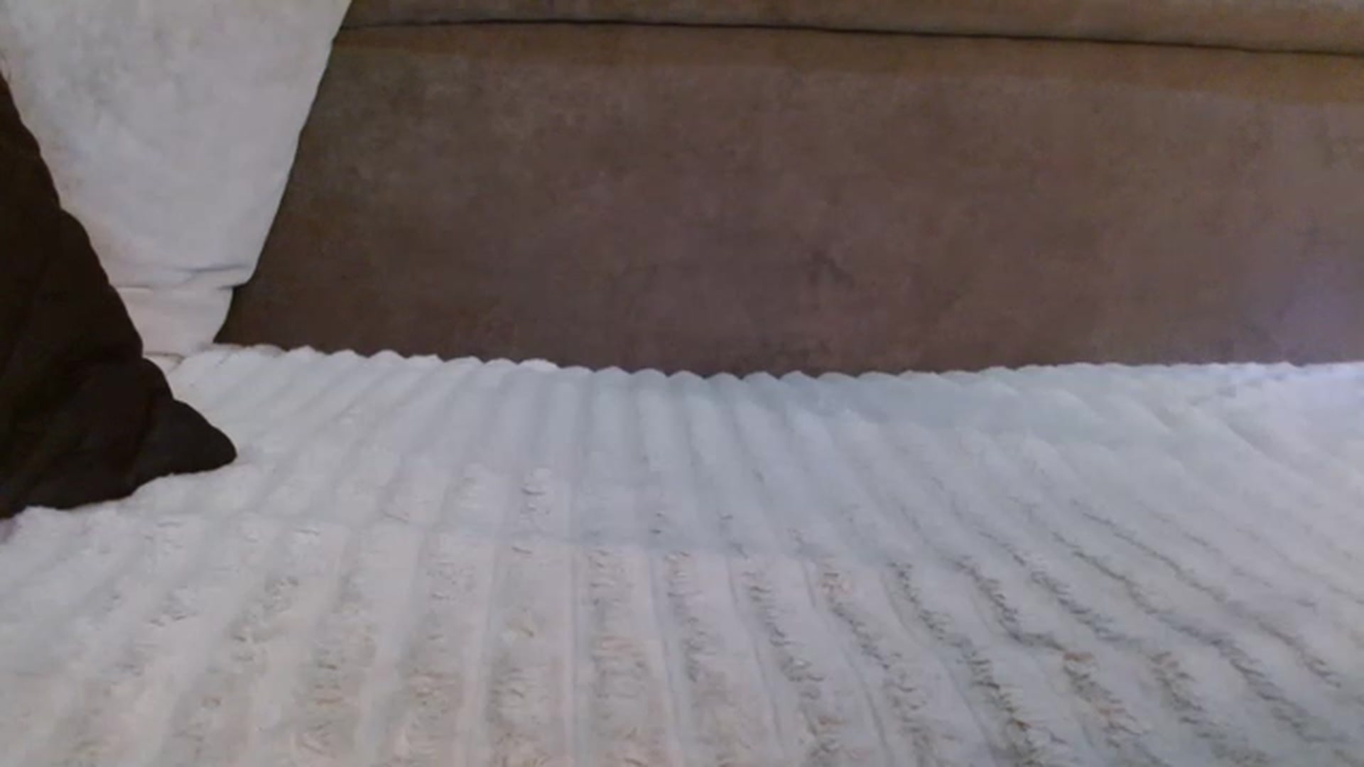 Gallery image thumbnail from NotGood's myfreecams stream on, 05/22/2023, 17:16 image 9 of 20