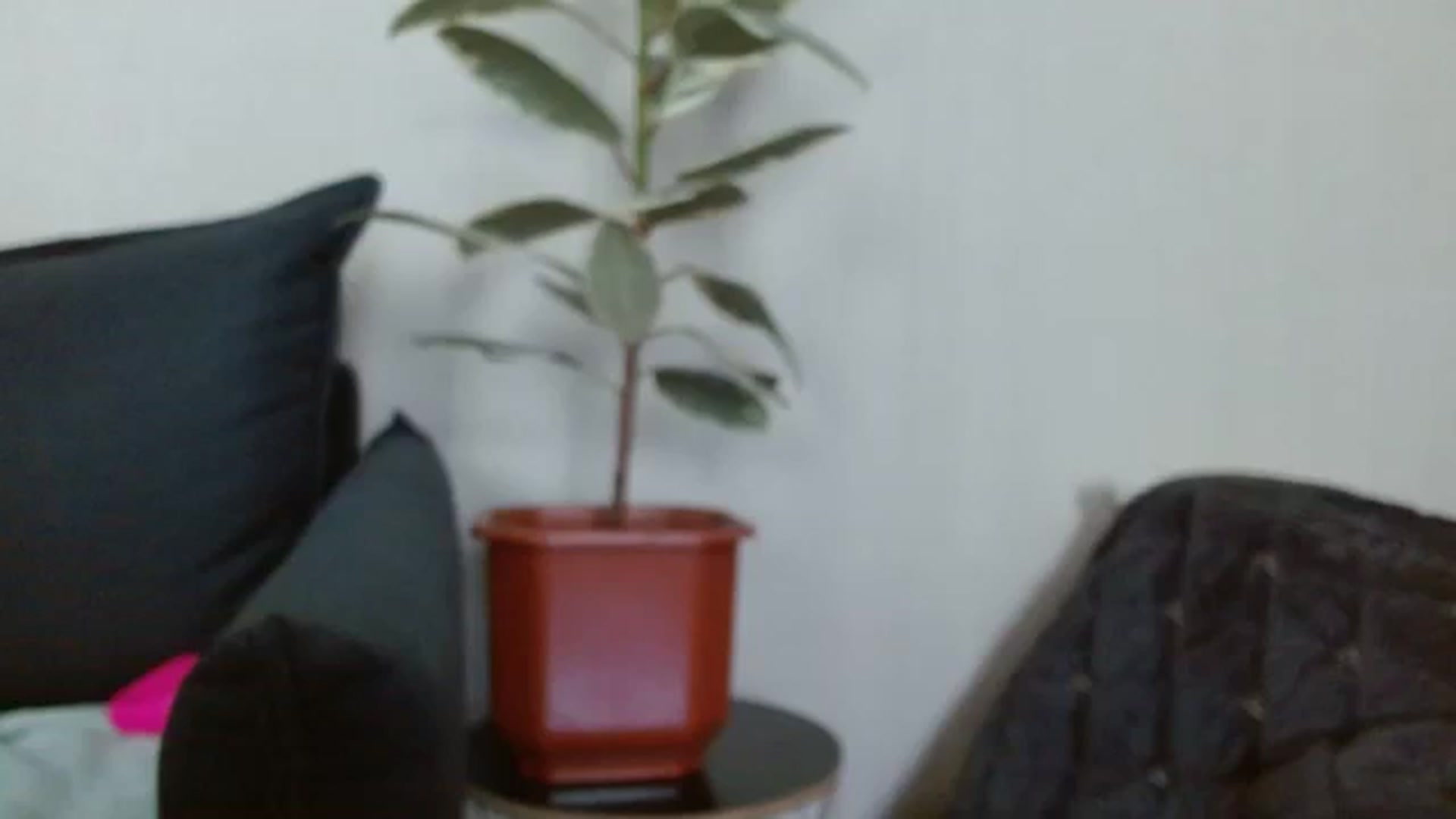 Gallery image thumbnail from NotGood's myfreecams stream on, 08/17/2023, 12:42 image 1 of 20