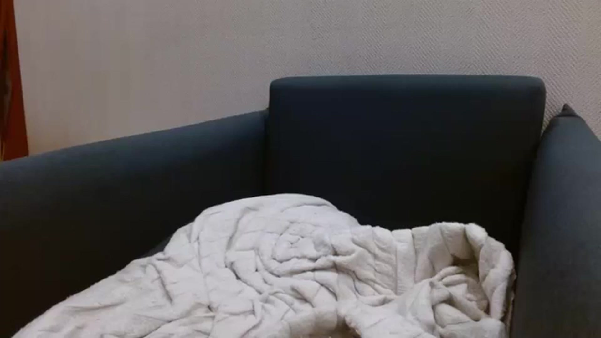 Gallery image thumbnail from NotGood's myfreecams stream on, 01/14/2024, 14:33 image 8 of 20