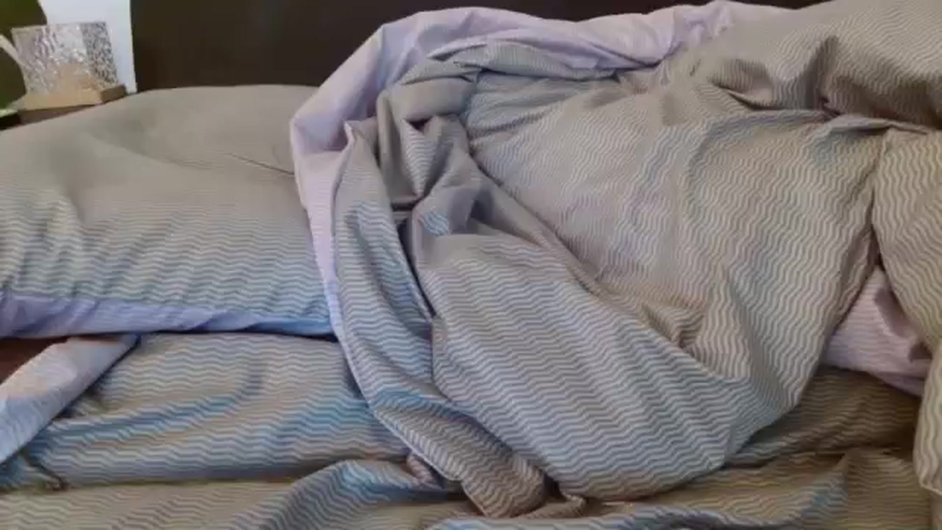 Gallery image thumbnail from NotGood's myfreecams stream on, 11/04/2024, 13:36 image 8 of 20