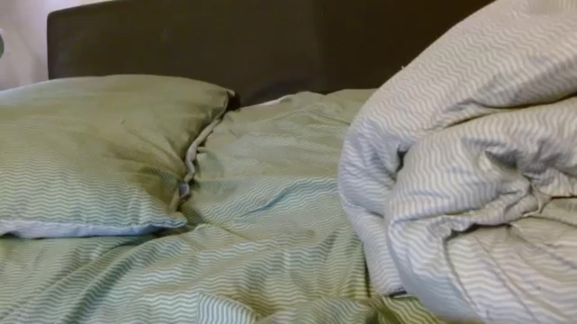 Gallery image thumbnail from NotGood's myfreecams stream on, 12/01/2024, 14:32 image 13 of 20