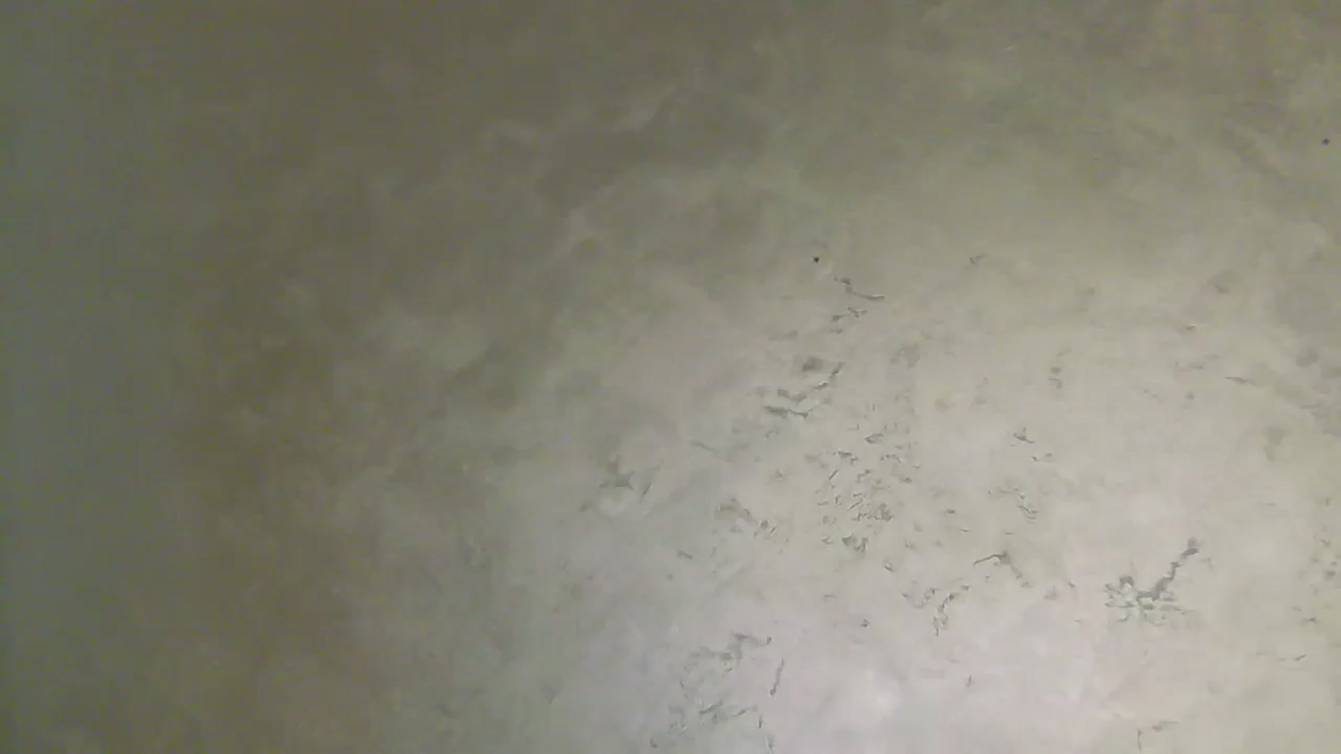 Gallery image thumbnail from NotVanilla's myfreecams stream on, 04/16/2025, 02:13 image 10 of 20