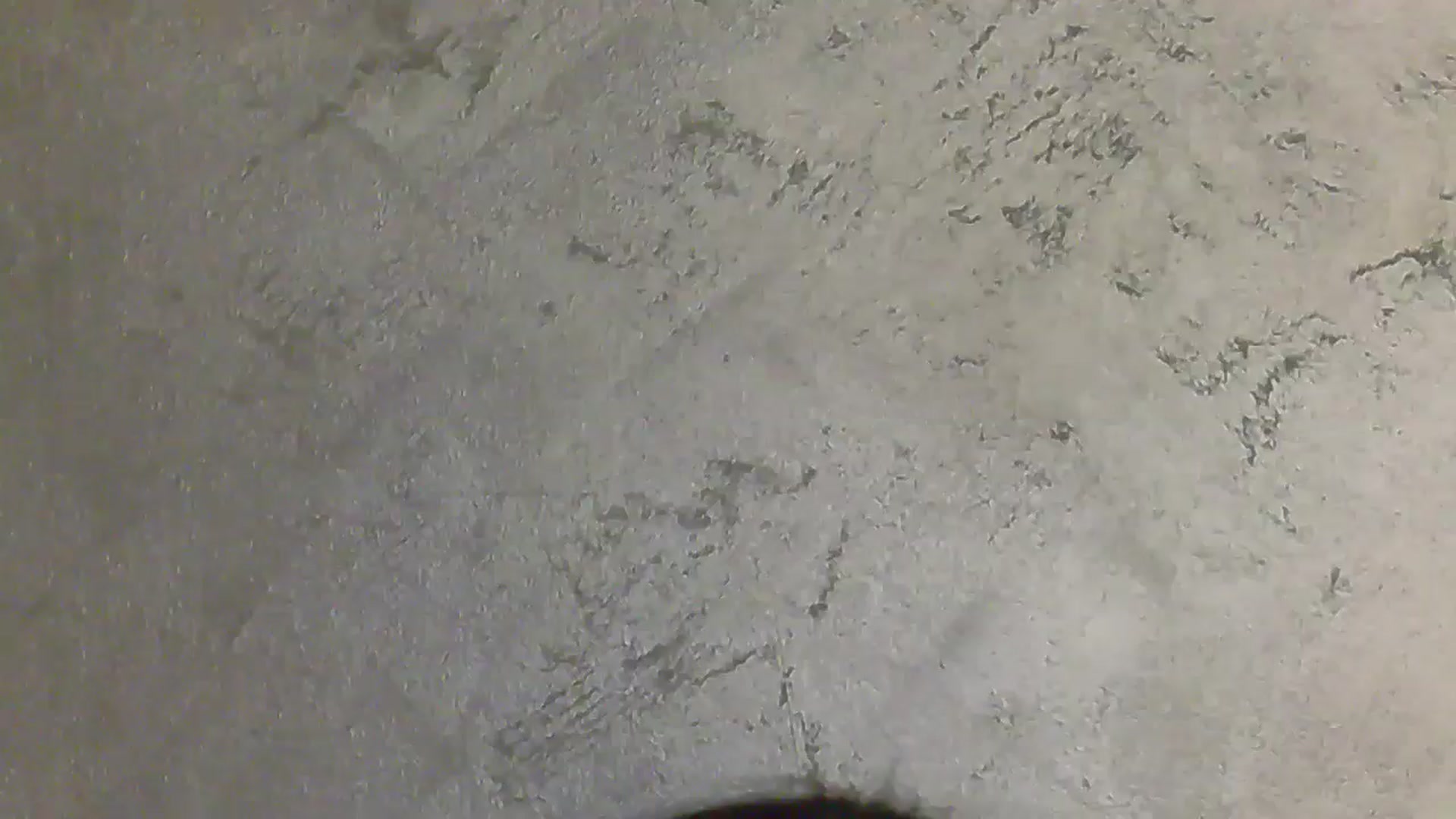 Gallery image thumbnail from NotVanilla's myfreecams stream on, 04/16/2025, 02:13 image 20 of 20
