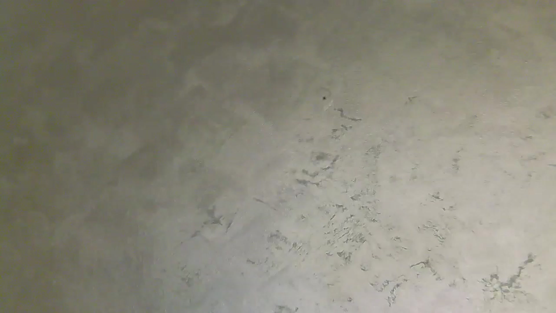 Gallery image thumbnail from NotVanilla's myfreecams stream on, 04/16/2025, 02:13 image 19 of 20