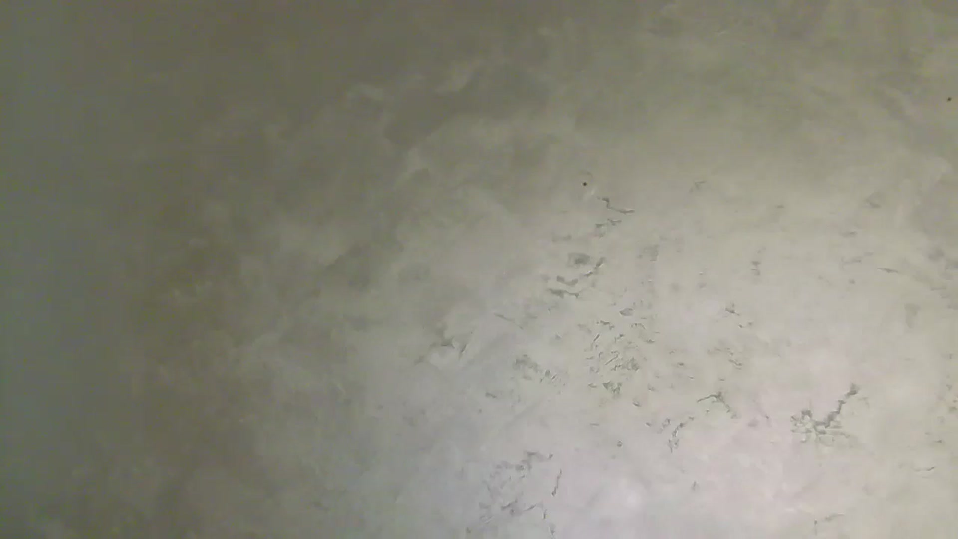 Gallery image thumbnail from NotVanilla's myfreecams stream on, 04/16/2025, 02:13 image 11 of 20