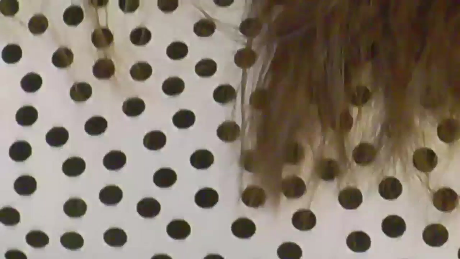 Gallery image thumbnail from NotVanilla's myfreecams stream on, 07/13/2025, 03:05 image 10 of 20