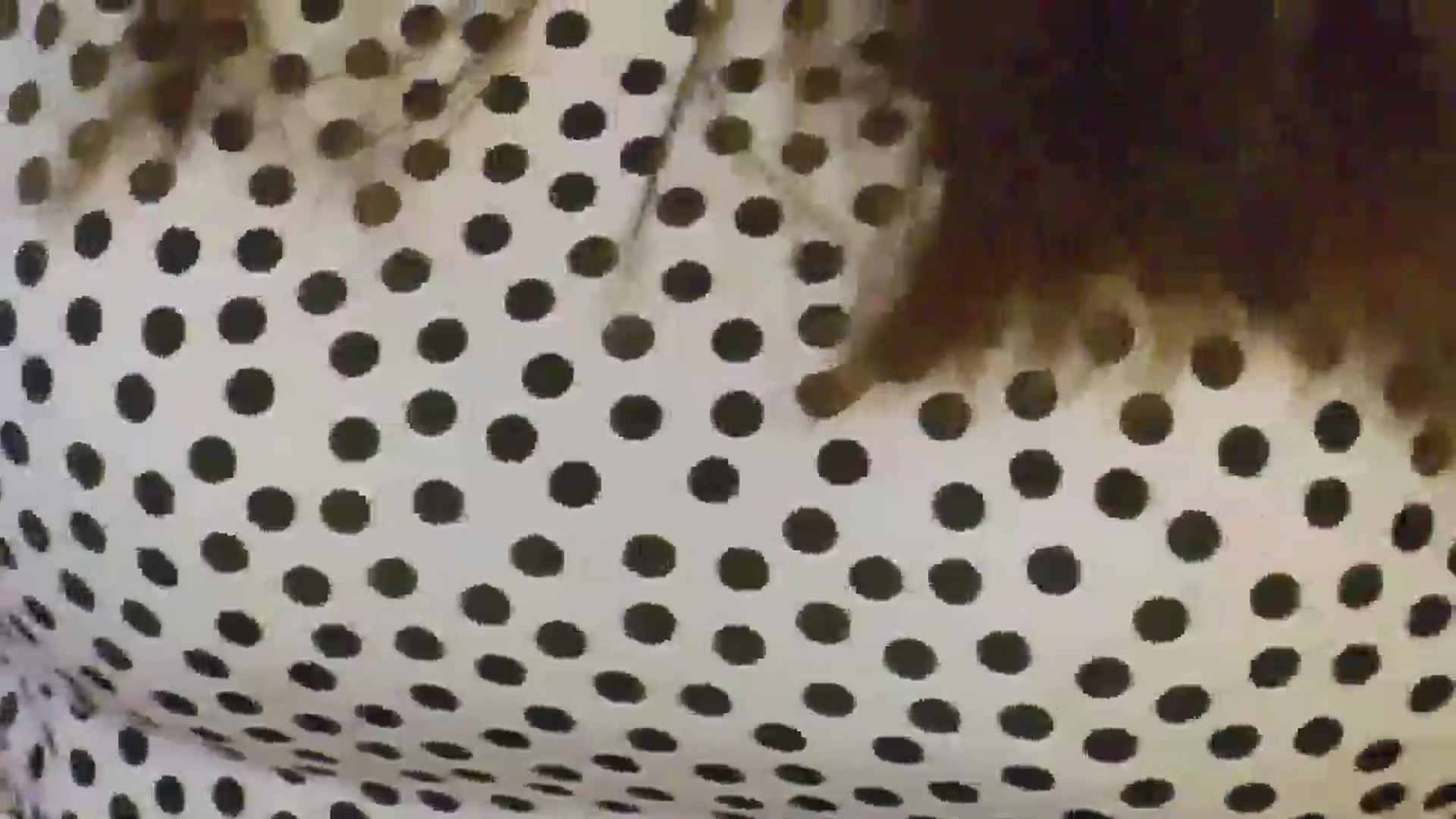 Gallery image thumbnail from NotVanilla's myfreecams stream on, 07/13/2025, 03:05 image 18 of 20