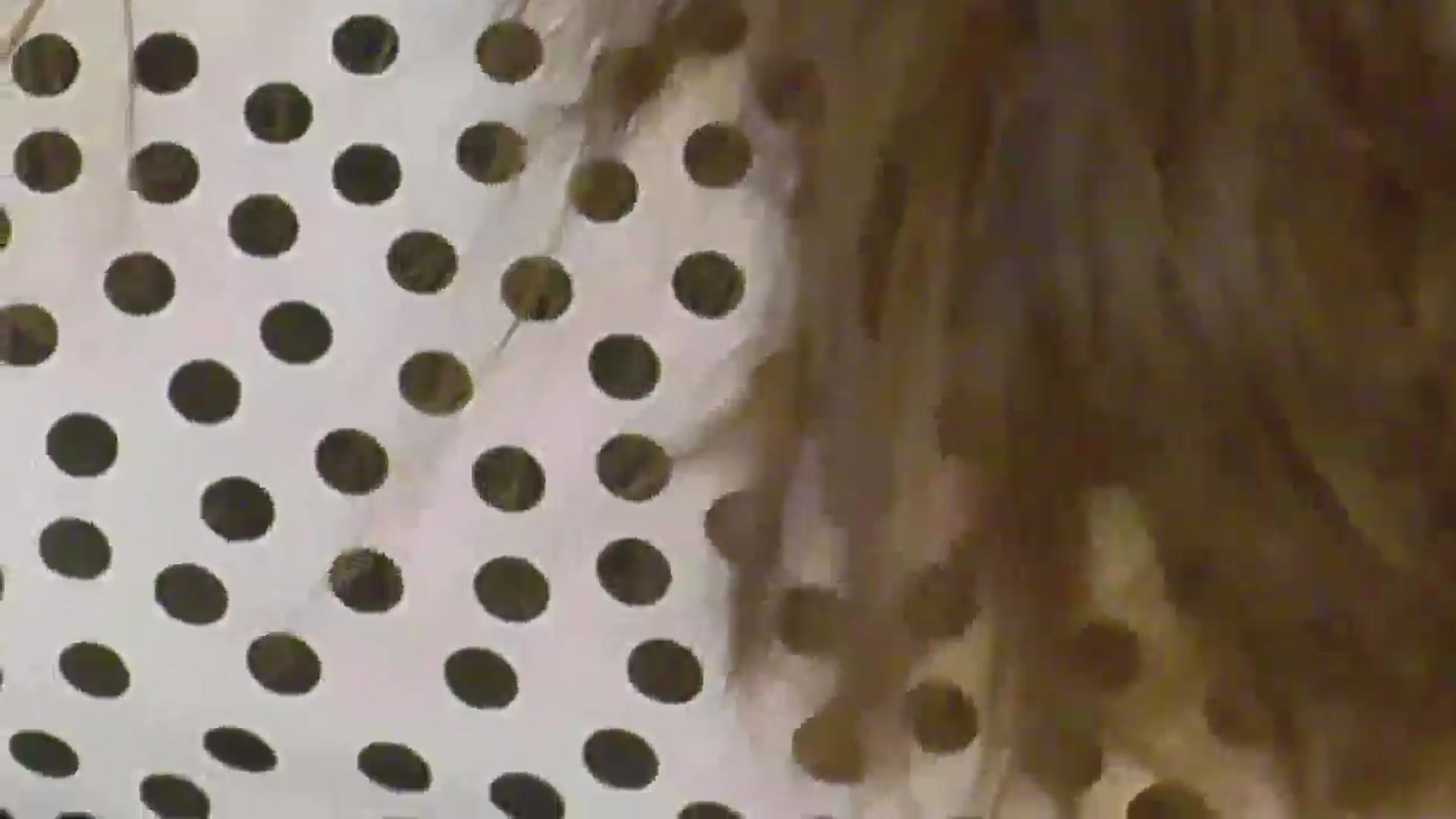 Gallery image thumbnail from NotVanilla's myfreecams stream on, 07/13/2025, 03:05 image 14 of 20