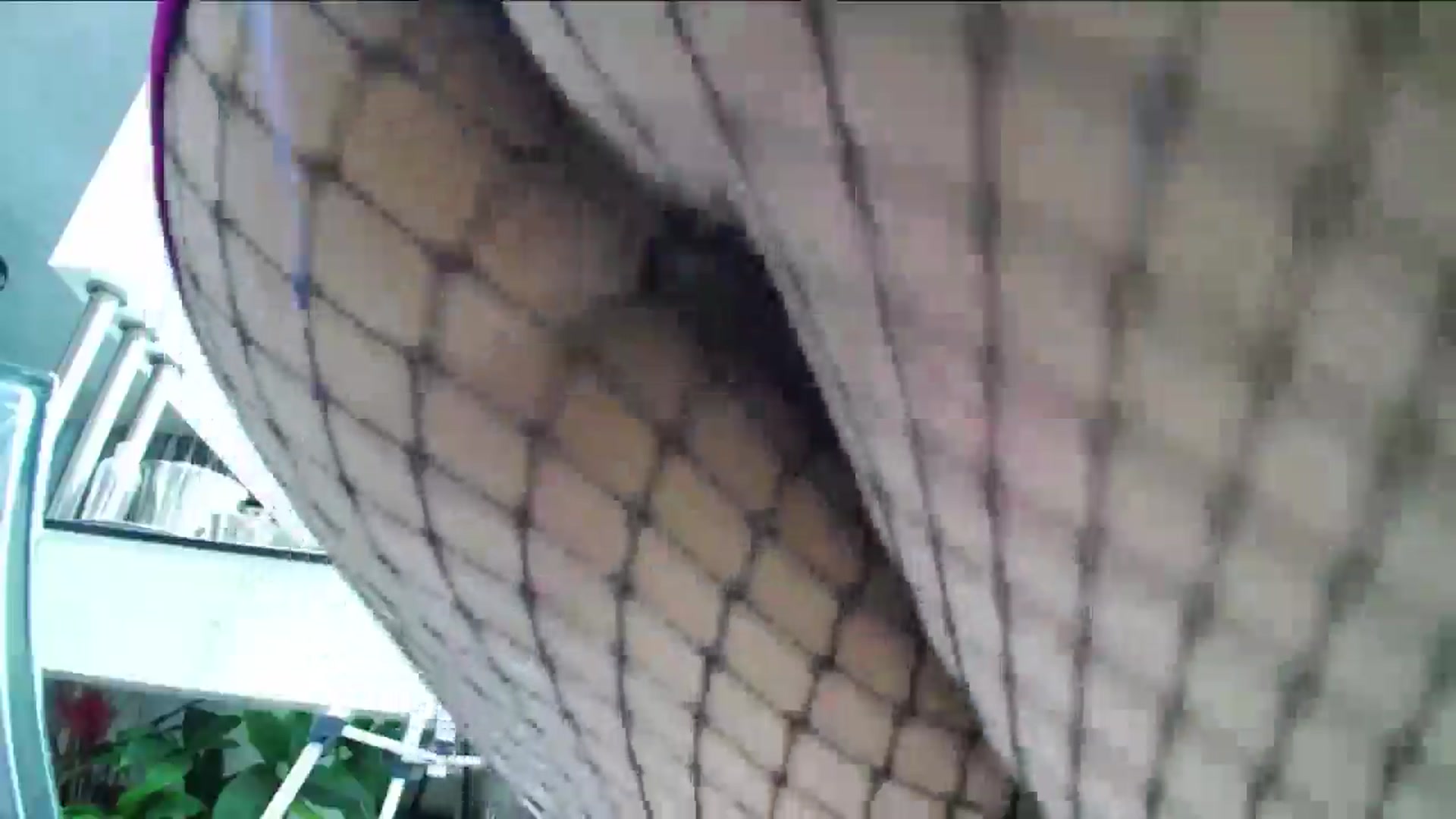 Gallery image thumbnail from NotVanilla's myfreecams stream on, 07/29/2025, 22:00 image 2 of 20