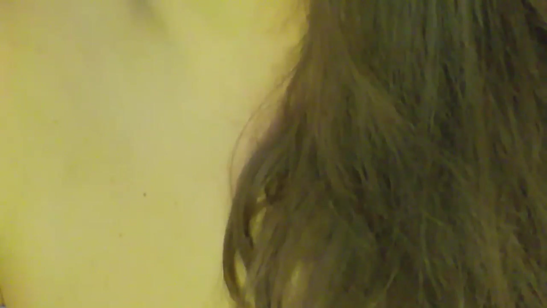 Gallery image thumbnail from NotVanilla's myfreecams stream on, 10/06/2025, 03:36 image 10 of 20