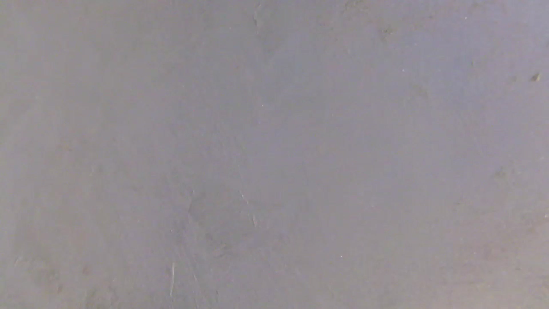 Gallery image thumbnail from NotVanilla's myfreecams stream on, 11/10/2025, 06:12 image 2 of 20