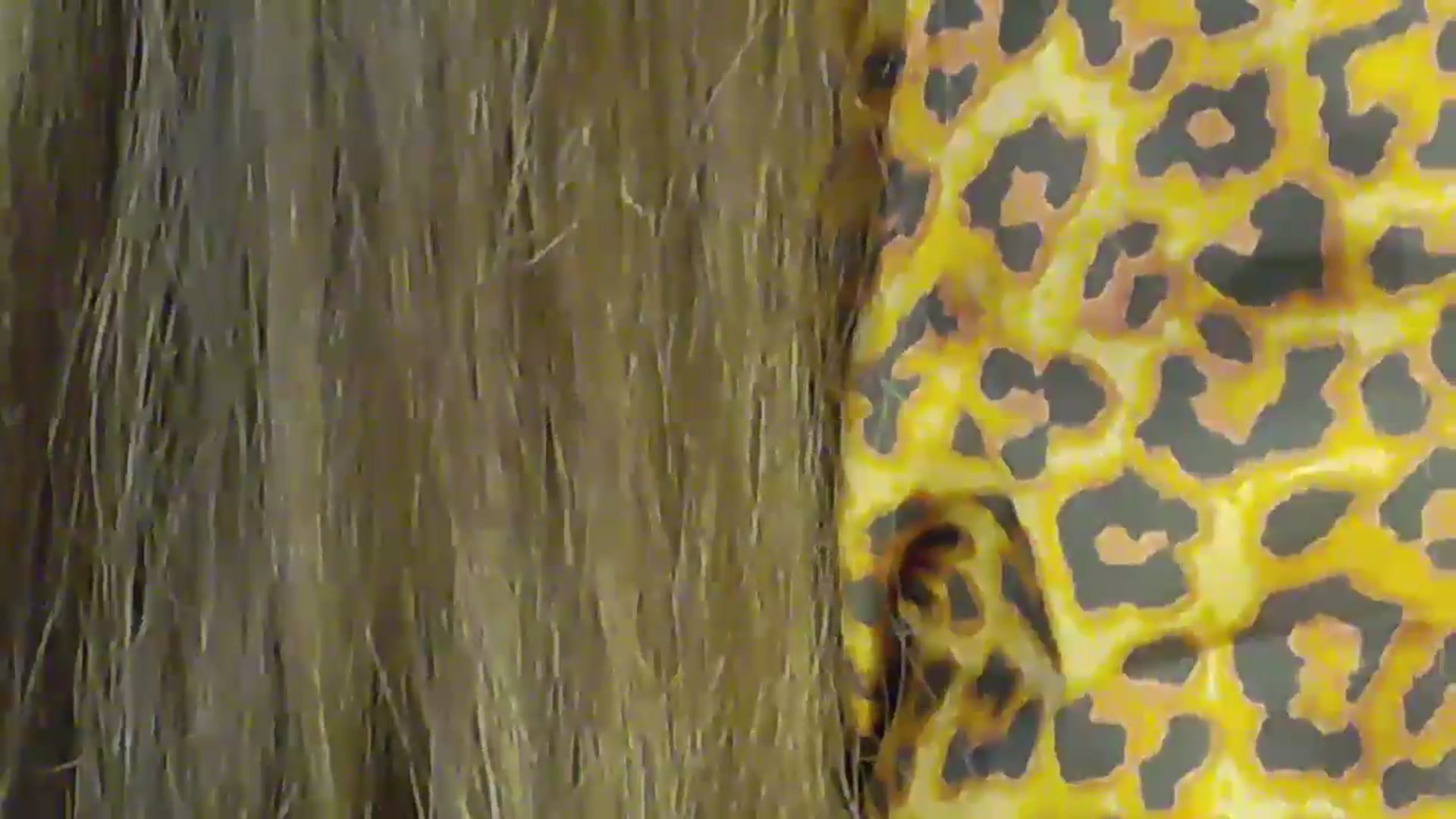 Gallery image thumbnail from NotVanilla's myfreecams stream on, 11/29/2025, 02:16 image 17 of 20