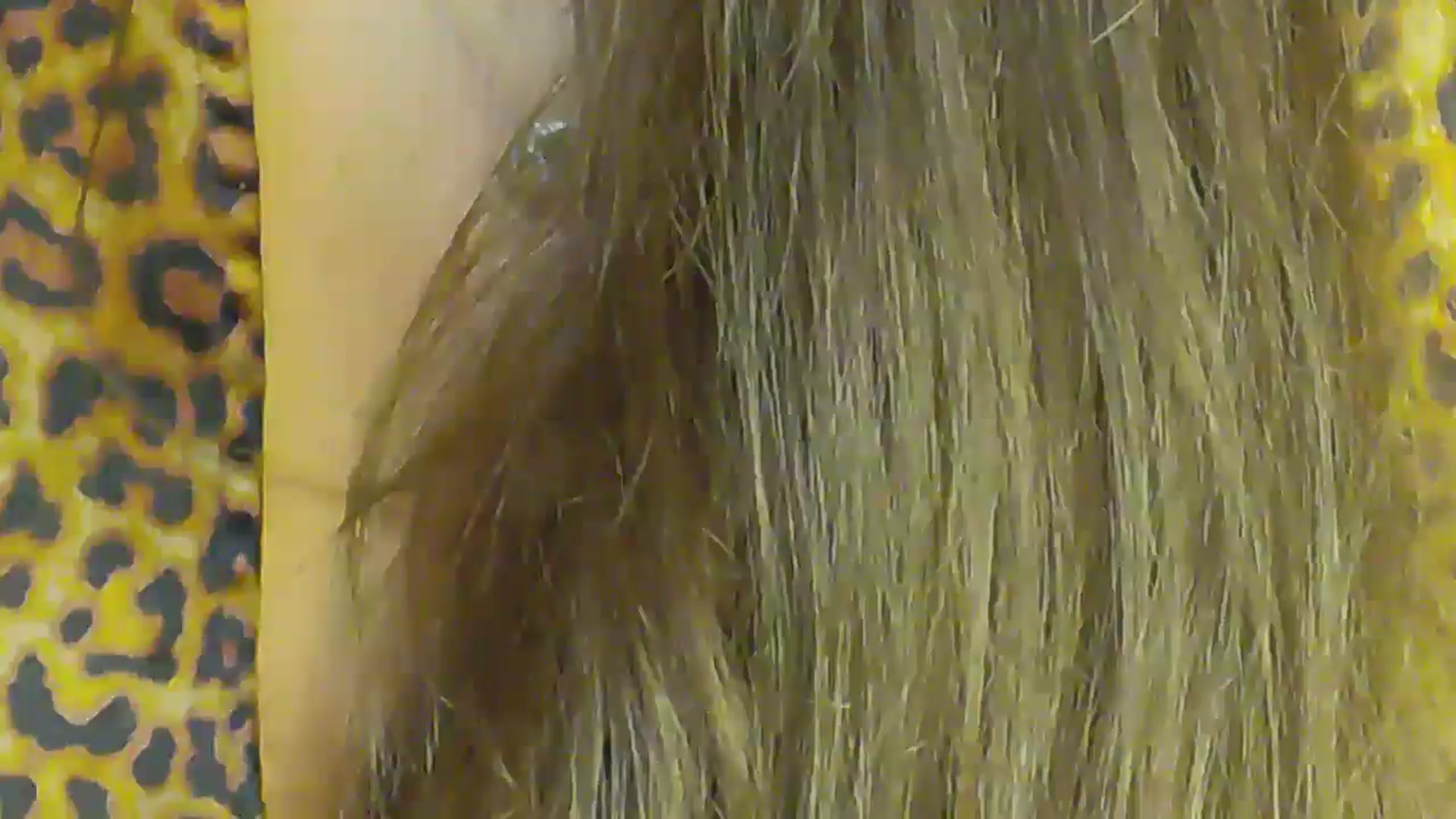 Gallery image thumbnail from NotVanilla's myfreecams stream on, 11/29/2025, 02:16 image 13 of 20