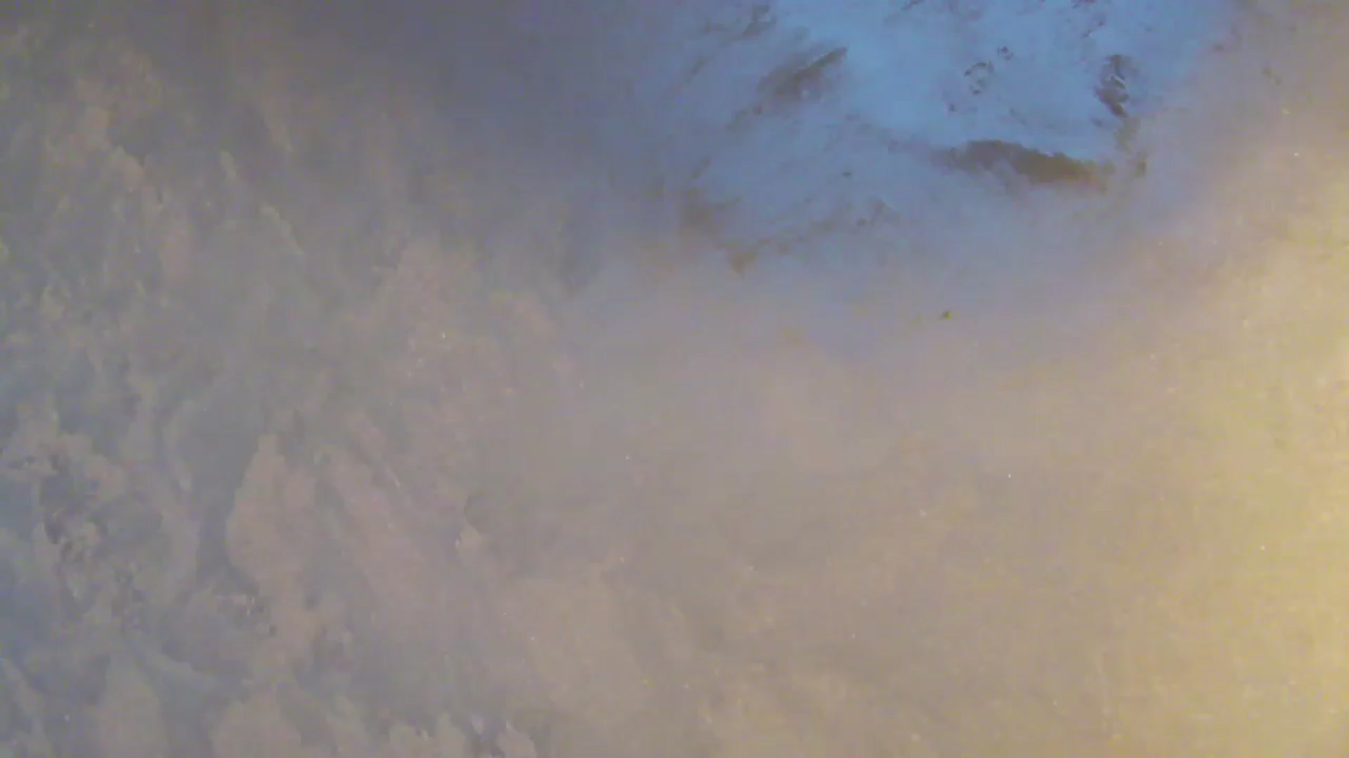 Gallery image thumbnail from NotVanilla's myfreecams stream on, 12/12/2025, 05:39 image 15 of 20