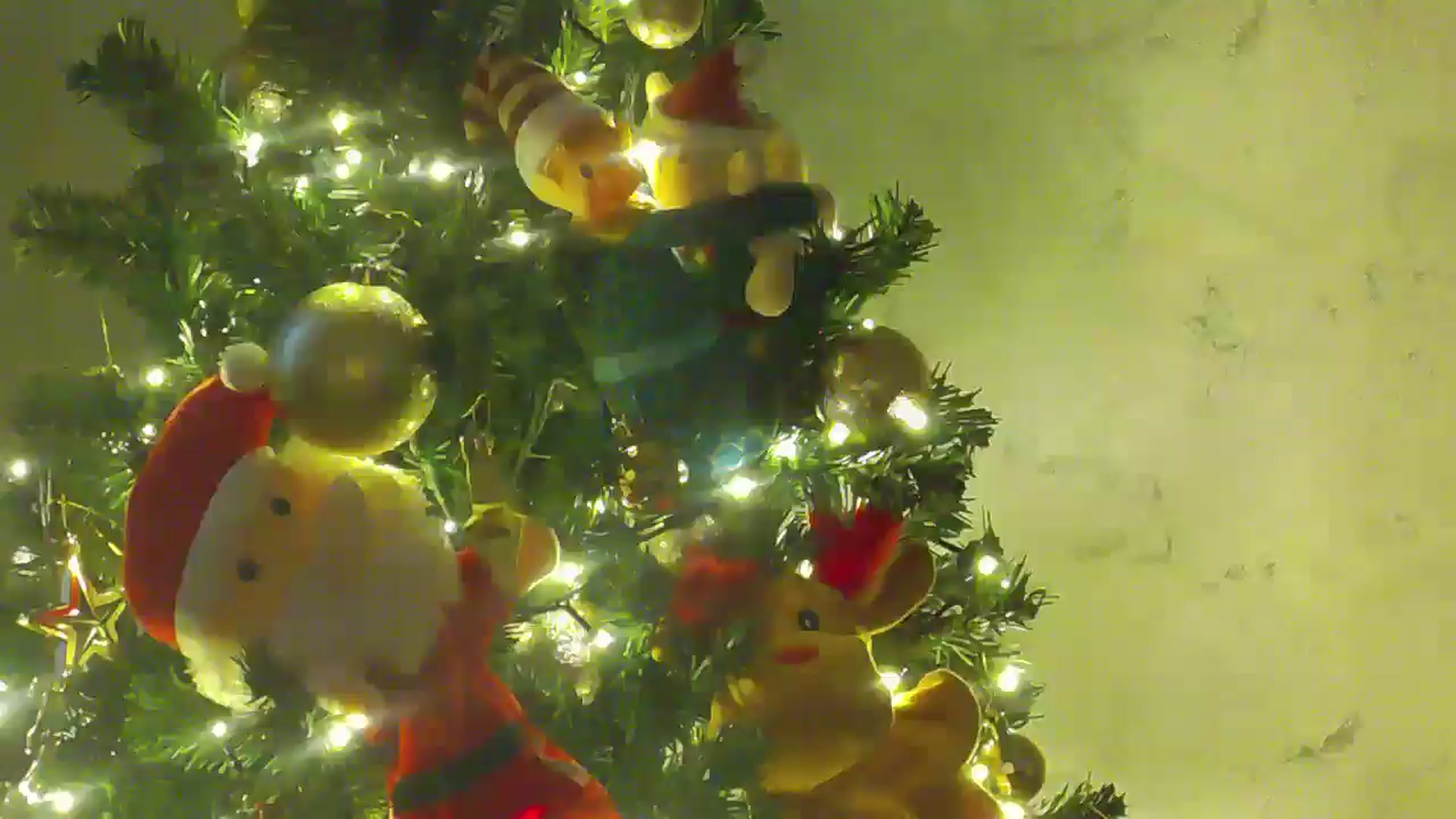 Gallery image thumbnail from NotVanilla's myfreecams stream on, 12/18/2025, 03:30 image 18 of 20