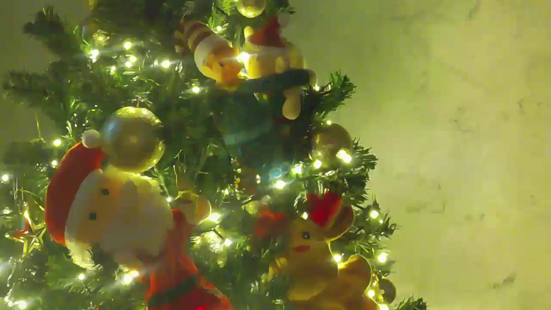 Gallery image thumbnail from NotVanilla's myfreecams stream on, 12/18/2025, 03:30 image 15 of 20