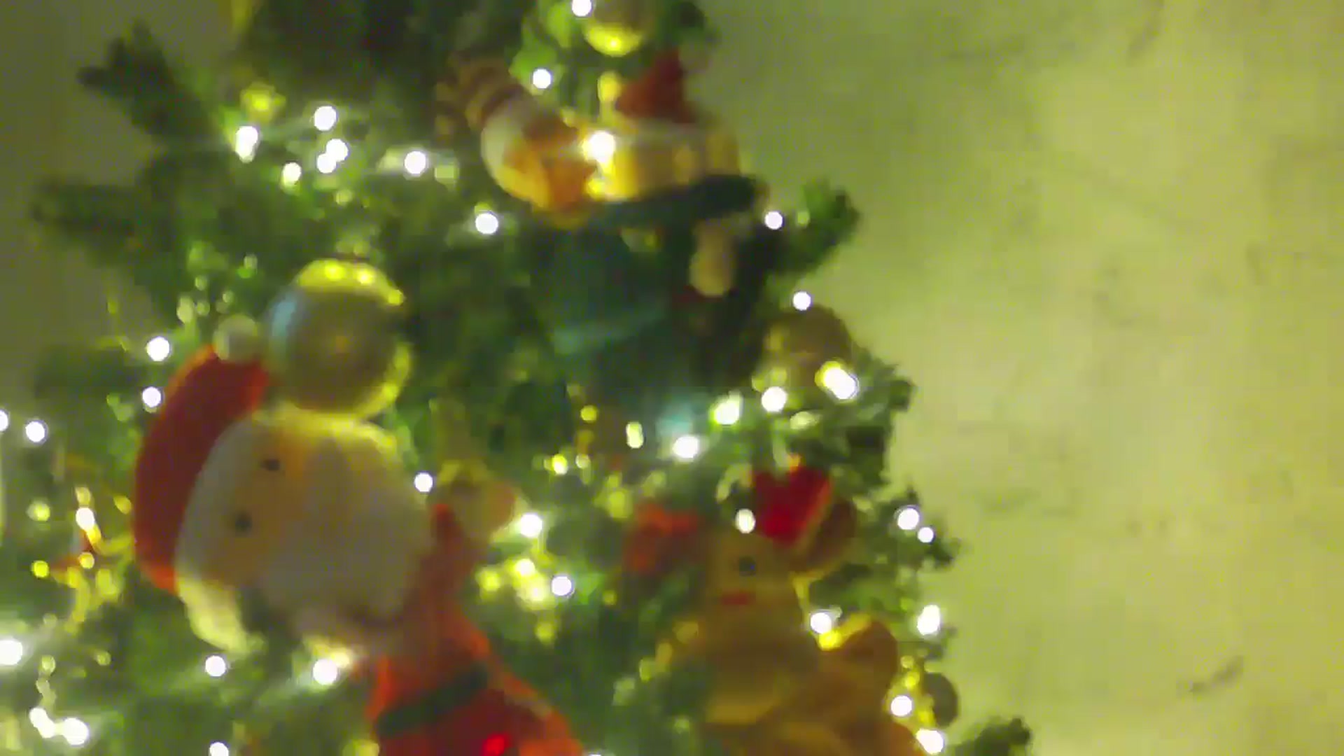 Gallery image thumbnail from NotVanilla's myfreecams stream on, 12/18/2025, 03:30 image 11 of 20
