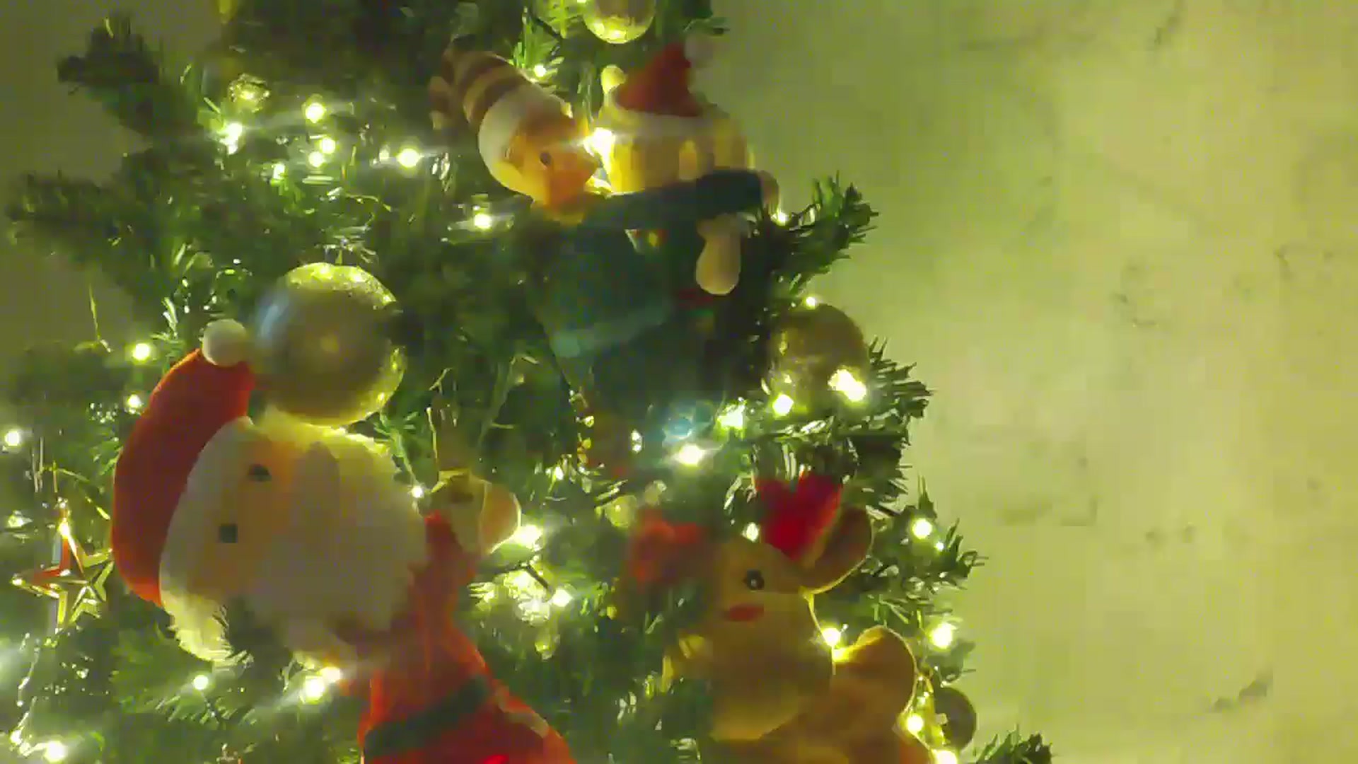 Gallery image thumbnail from NotVanilla's myfreecams stream on, 12/18/2025, 03:30 image 13 of 20