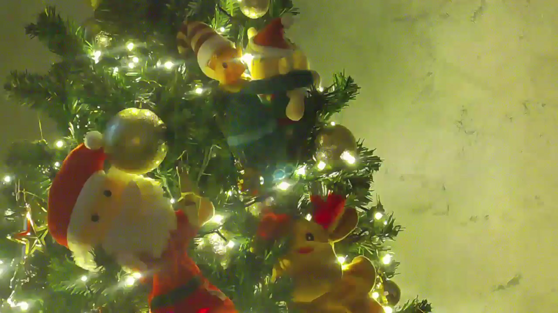 Gallery image thumbnail from NotVanilla's myfreecams stream on, 12/18/2025, 03:30 image 17 of 20
