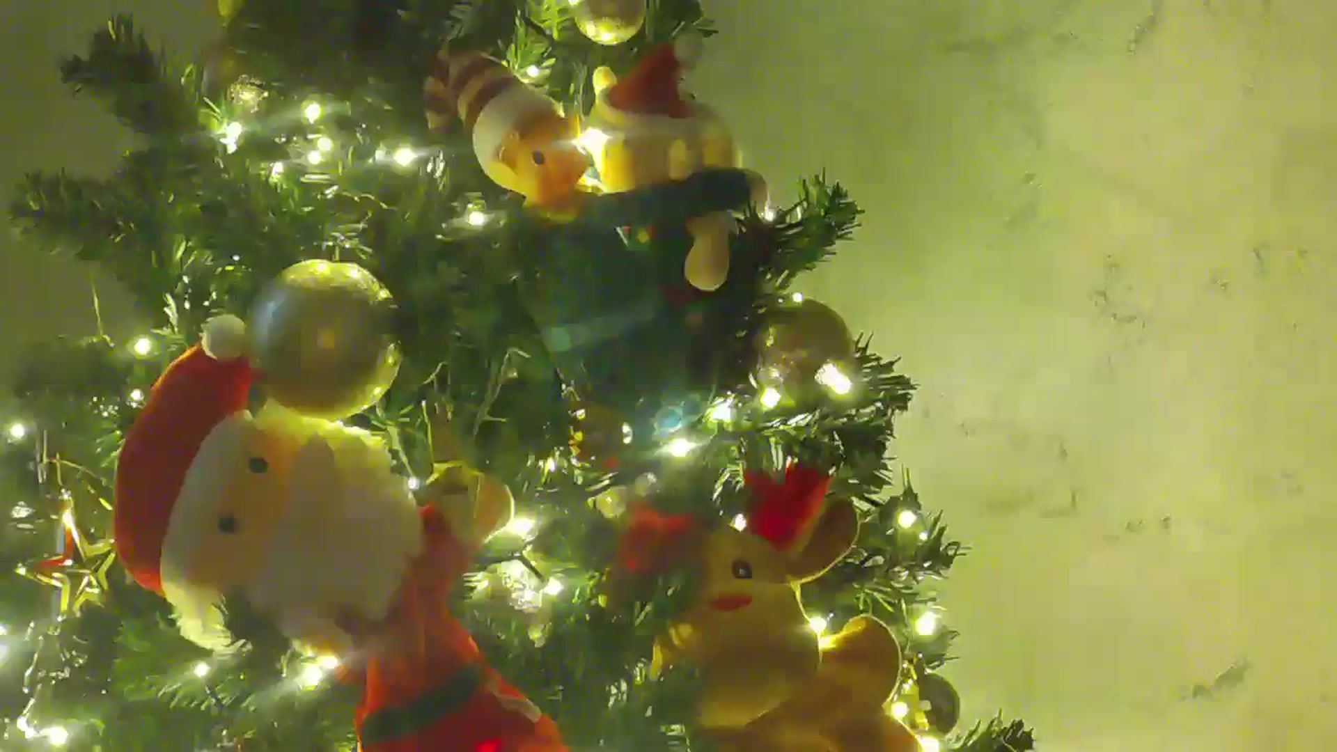 Gallery image thumbnail from NotVanilla's myfreecams stream on, 12/18/2025, 03:30 image 19 of 20