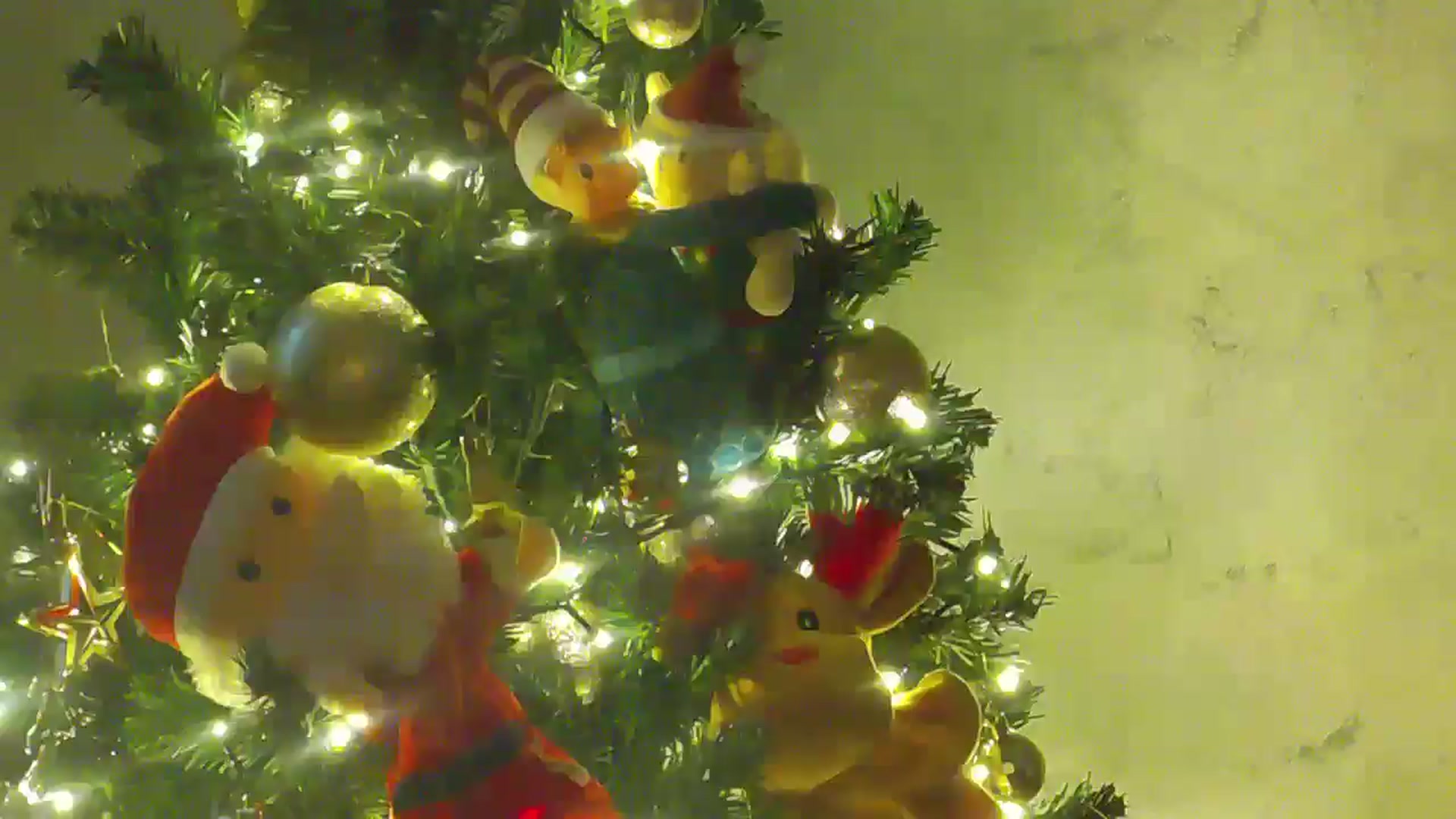 Gallery image thumbnail from NotVanilla's myfreecams stream on, 12/18/2025, 03:30 image 20 of 20