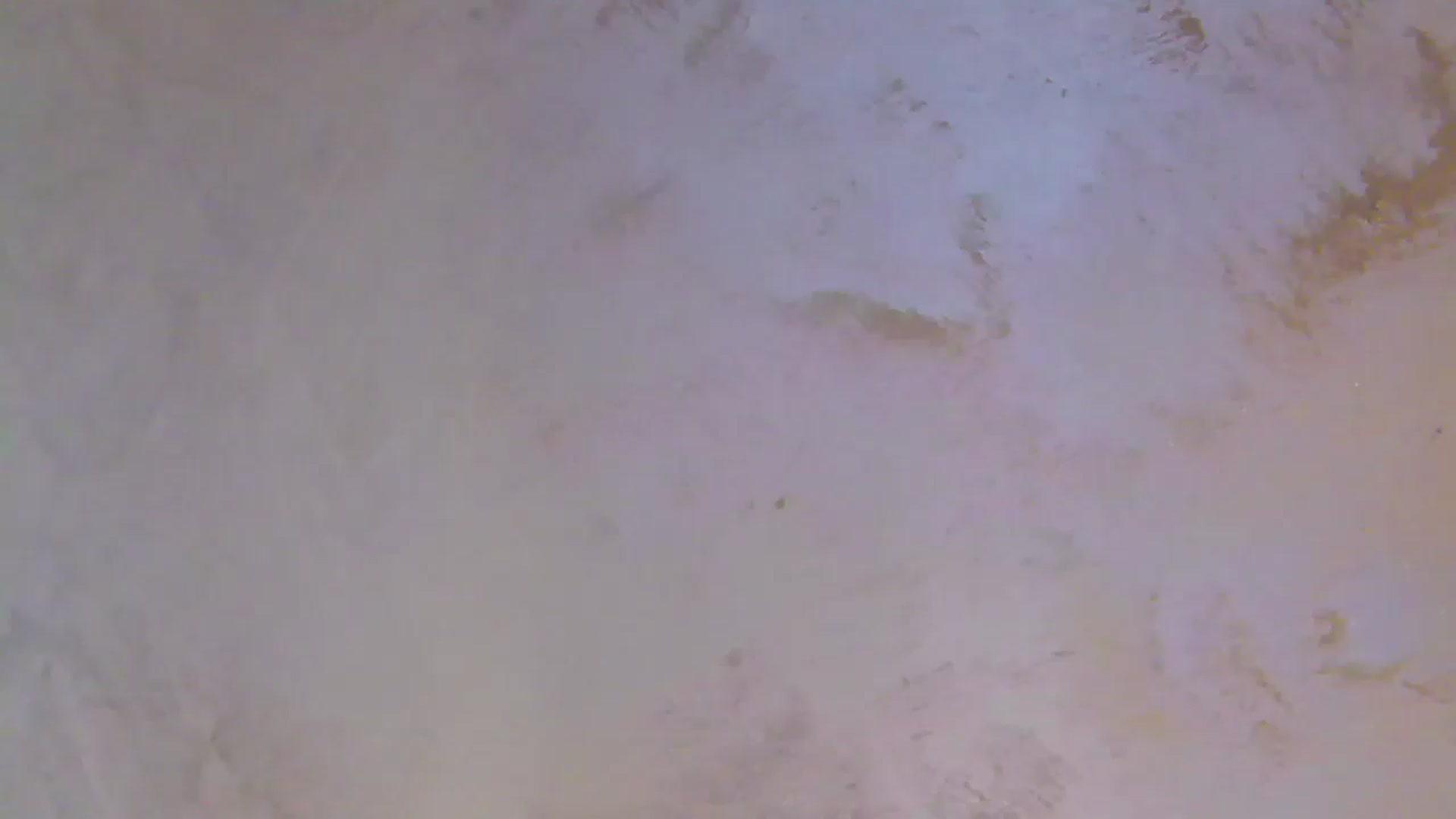 Gallery image thumbnail from NotVanilla's myfreecams stream on, 01/05/2026, 03:41 image 9 of 20