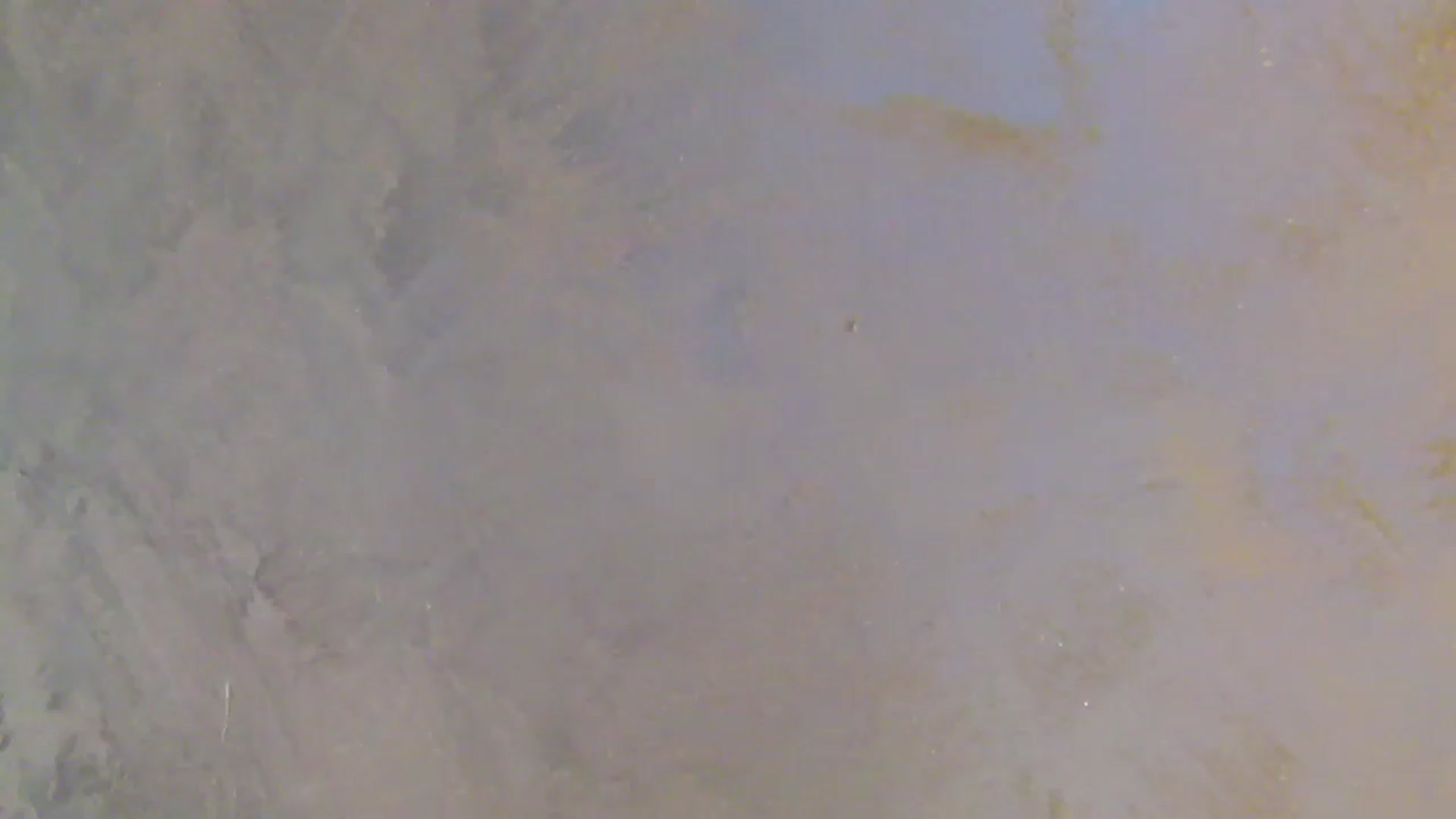 Gallery image thumbnail from NotVanilla's myfreecams stream on, 01/06/2026, 01:46 image 19 of 20