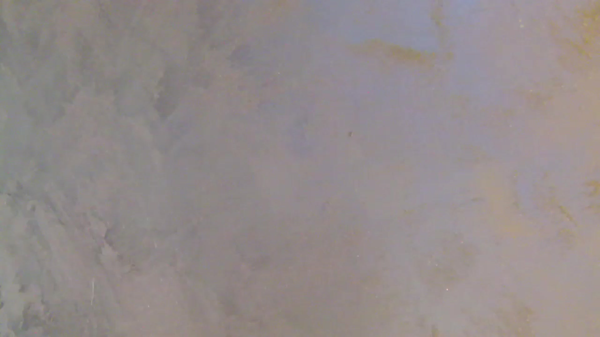 Gallery image thumbnail from NotVanilla's myfreecams stream on, 01/06/2026, 01:46 image 18 of 20
