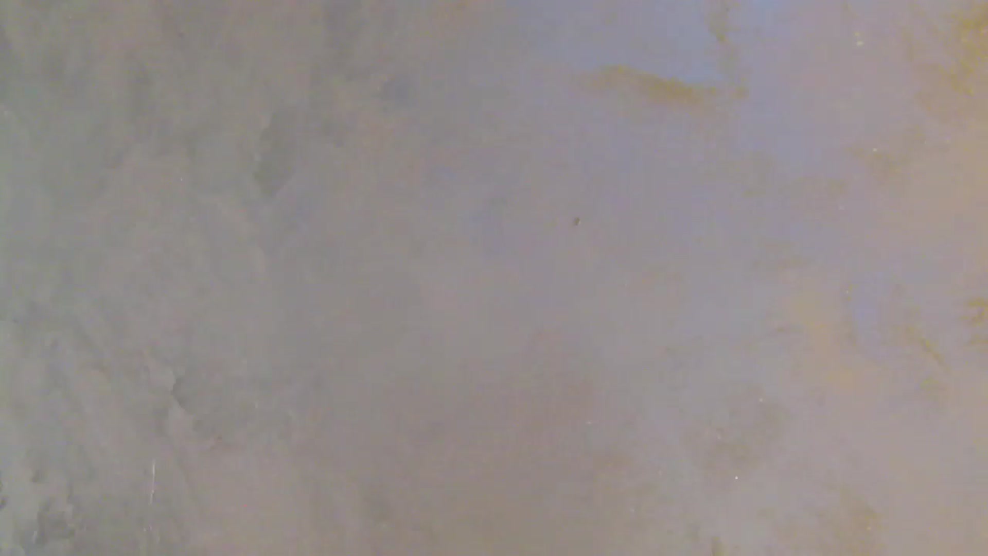 Gallery image thumbnail from NotVanilla's myfreecams stream on, 01/06/2026, 01:46 image 20 of 20