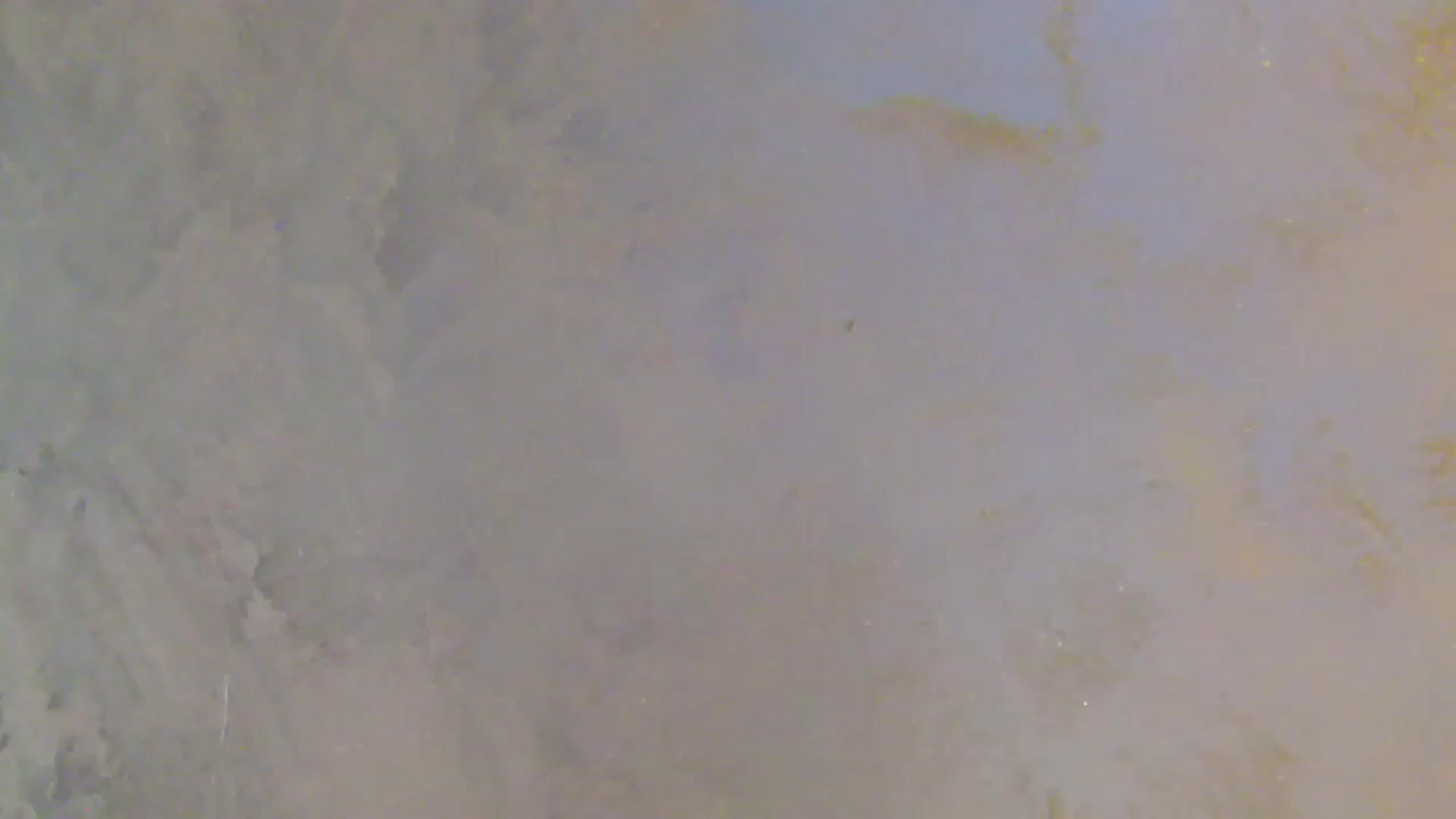 Gallery image thumbnail from NotVanilla's myfreecams stream on, 01/06/2026, 01:46 image 17 of 20