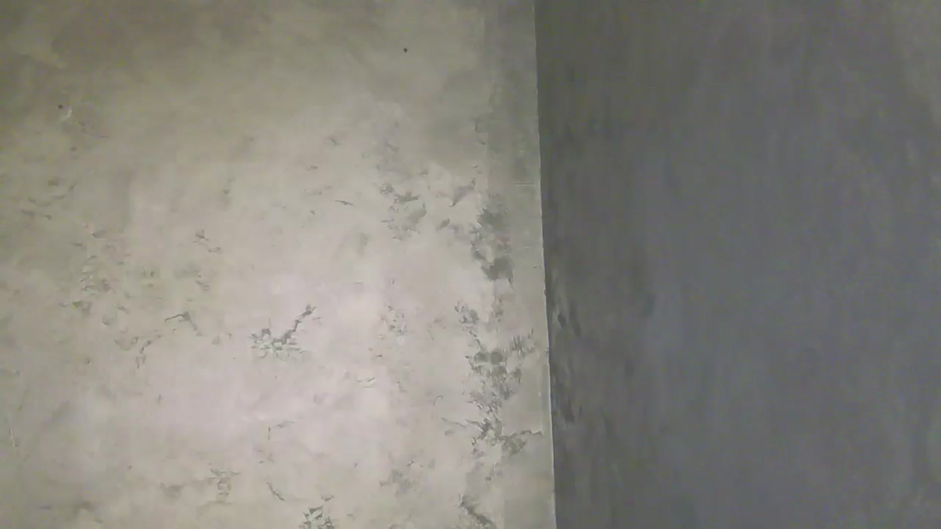 Gallery image thumbnail from NotVanilla's myfreecams stream on, 01/17/2026, 06:46 image 6 of 20