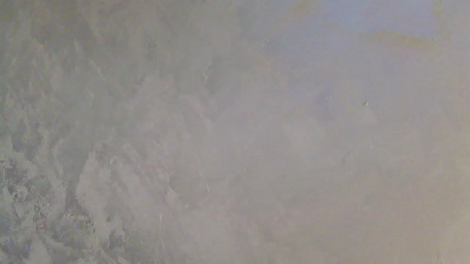 Gallery image thumbnail from NotVanilla's myfreecams stream on, 02/11/2026, 03:31 image 20 of 20