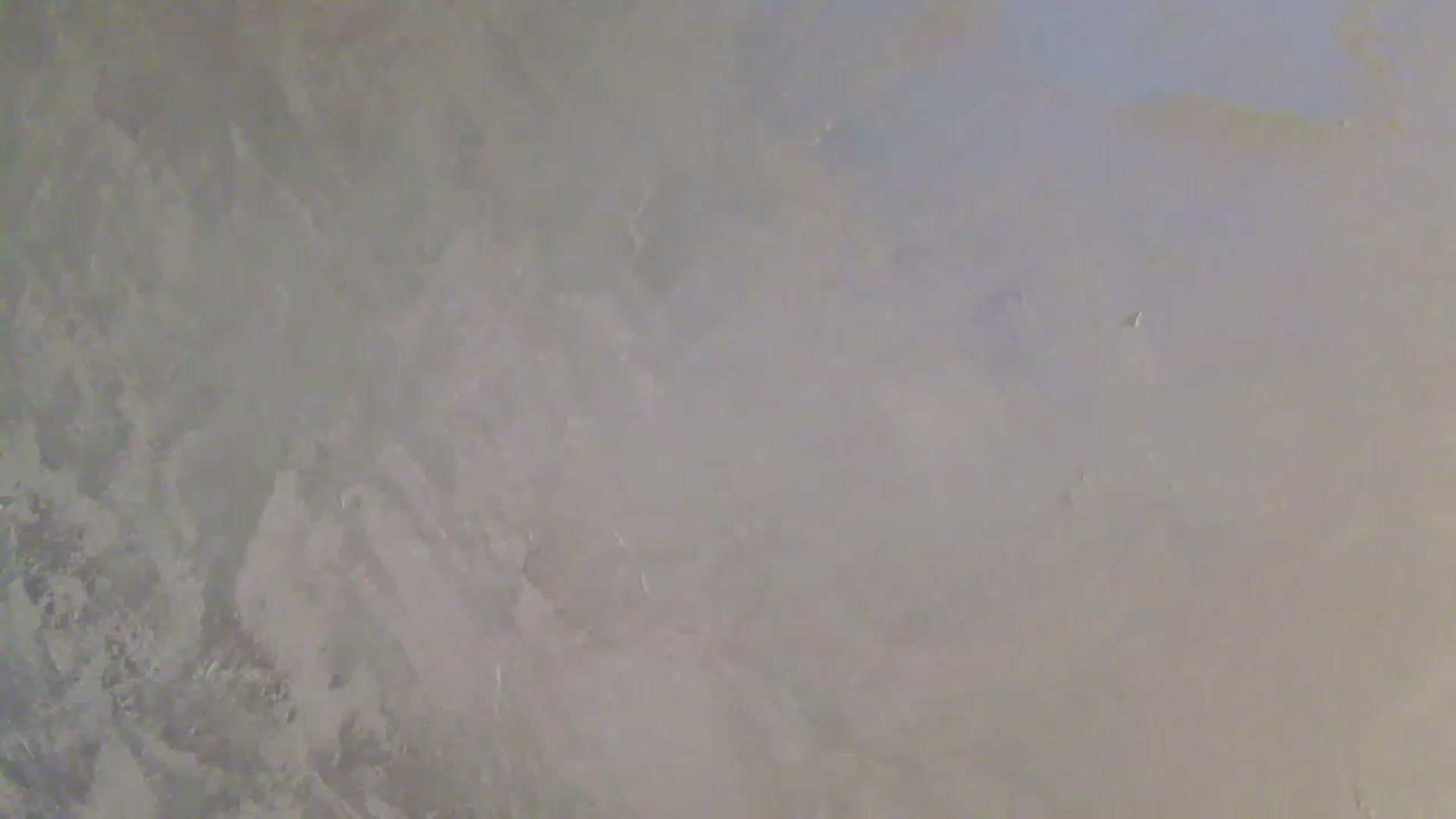 Gallery image thumbnail from NotVanilla's myfreecams stream on, 02/11/2026, 03:31 image 17 of 20