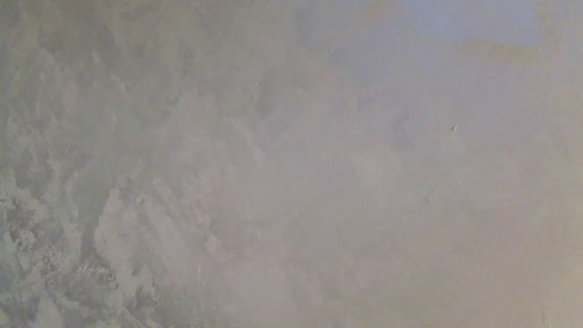 Gallery image thumbnail from NotVanilla's myfreecams stream on, 02/11/2026, 03:31 image 18 of 20