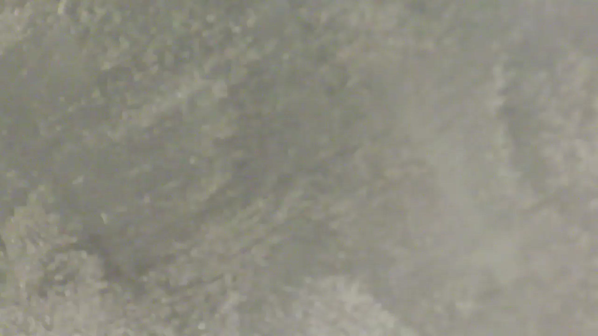 Gallery image thumbnail from NotVanilla's myfreecams stream on, 02/21/2026, 06:51 image 8 of 20
