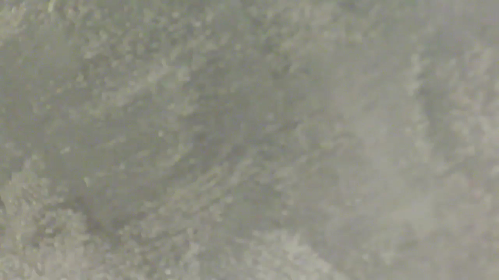Gallery image thumbnail from NotVanilla's myfreecams stream on, 02/21/2026, 06:51 image 16 of 20