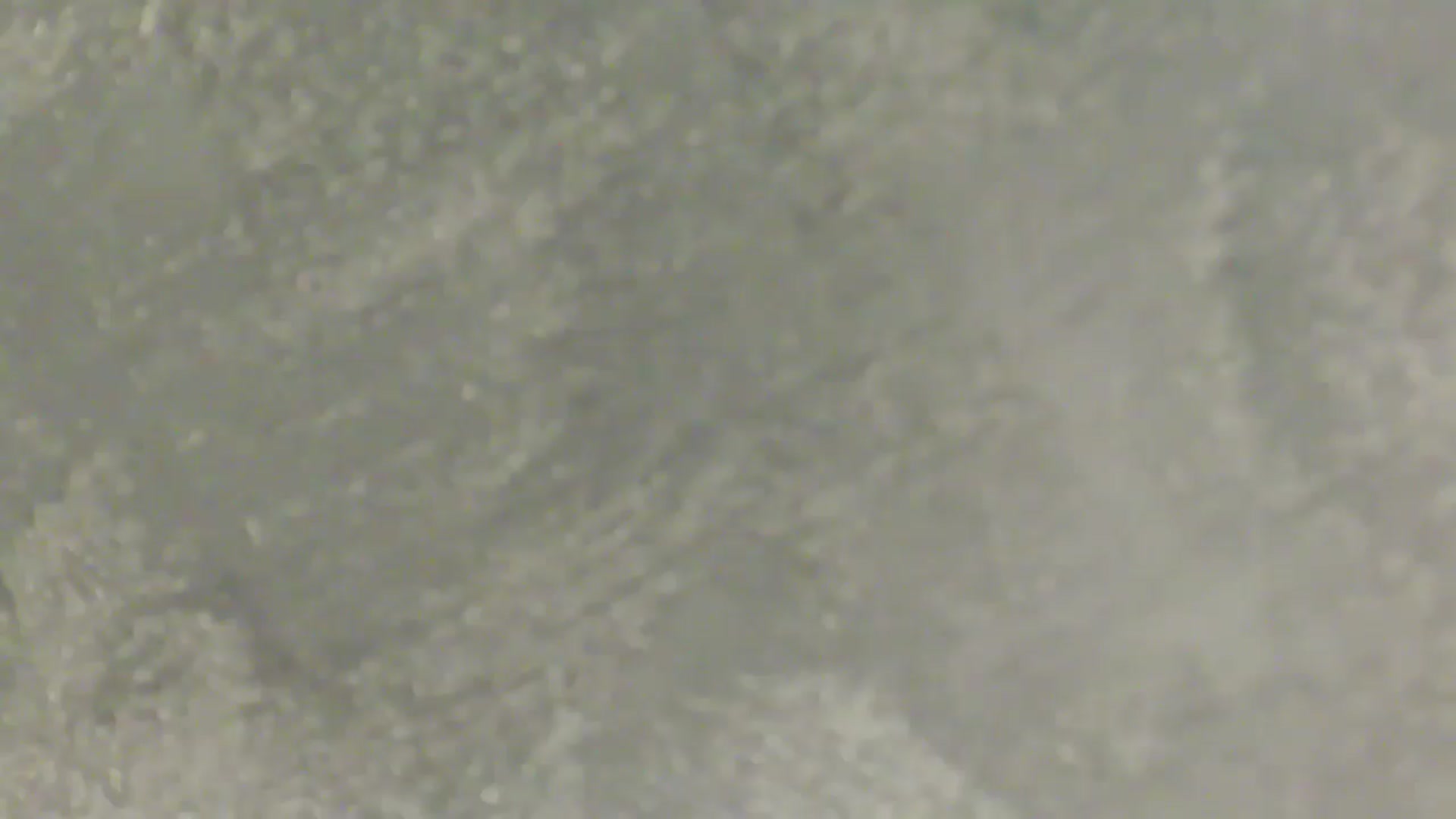 Gallery image thumbnail from NotVanilla's myfreecams stream on, 02/21/2026, 06:51 image 19 of 20