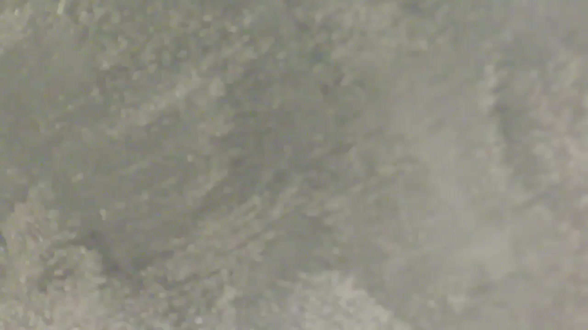 Gallery image thumbnail from NotVanilla's myfreecams stream on, 02/21/2026, 06:51 image 7 of 20