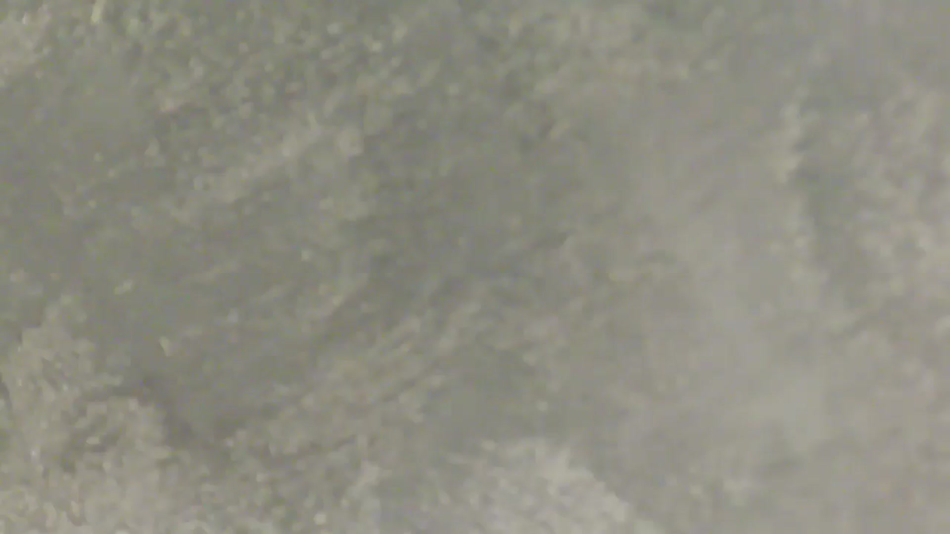 Gallery image thumbnail from NotVanilla's myfreecams stream on, 02/21/2026, 06:51 image 12 of 20