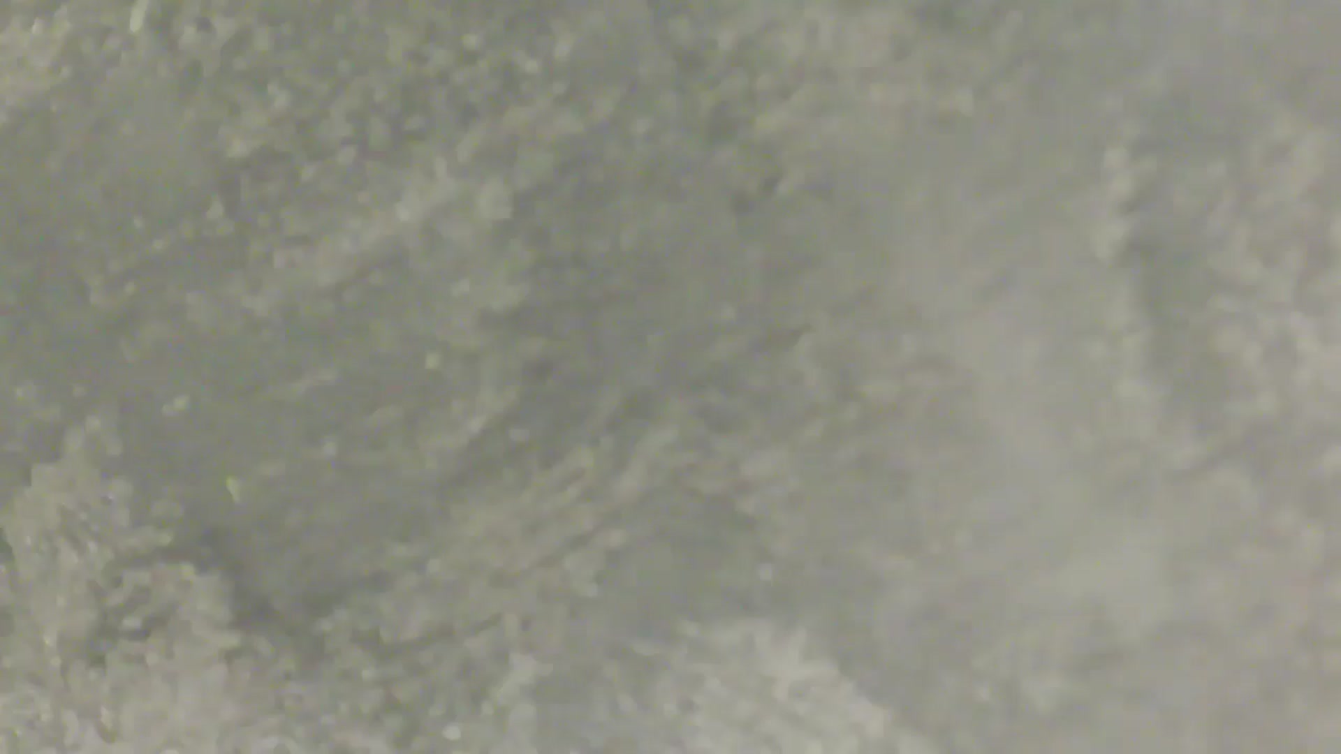 Gallery image thumbnail from NotVanilla's myfreecams stream on, 02/21/2026, 06:51 image 14 of 20
