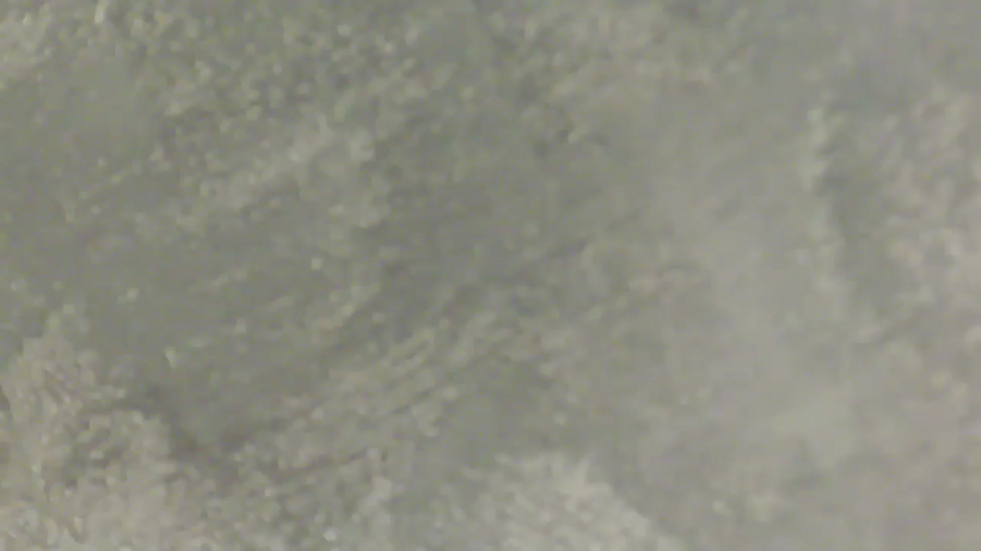Gallery image thumbnail from NotVanilla's myfreecams stream on, 02/21/2026, 06:51 image 18 of 20
