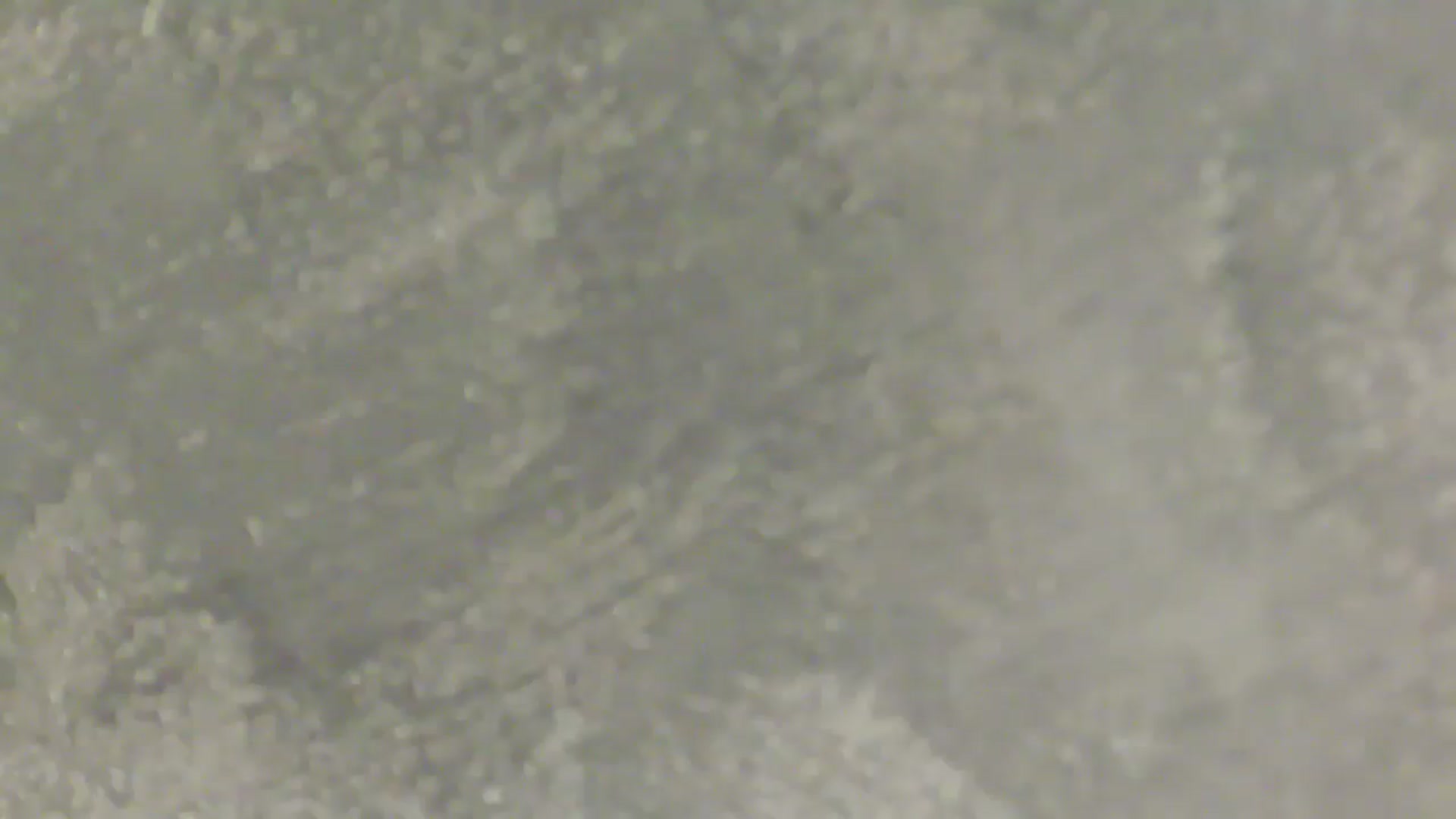 Gallery image thumbnail from NotVanilla's myfreecams stream on, 02/21/2026, 06:51 image 6 of 20