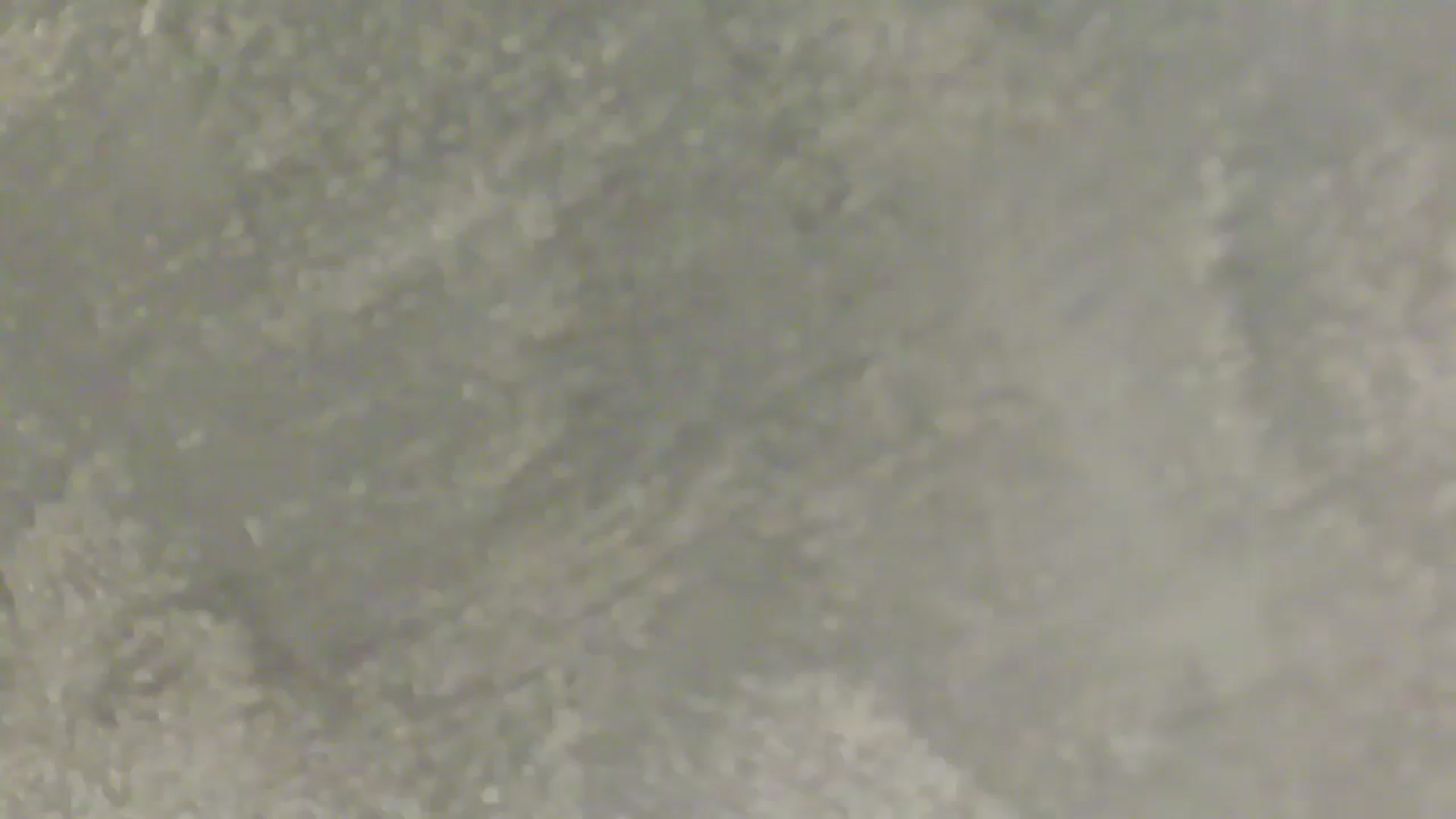 Gallery image thumbnail from NotVanilla's myfreecams stream on, 02/21/2026, 06:51 image 11 of 20