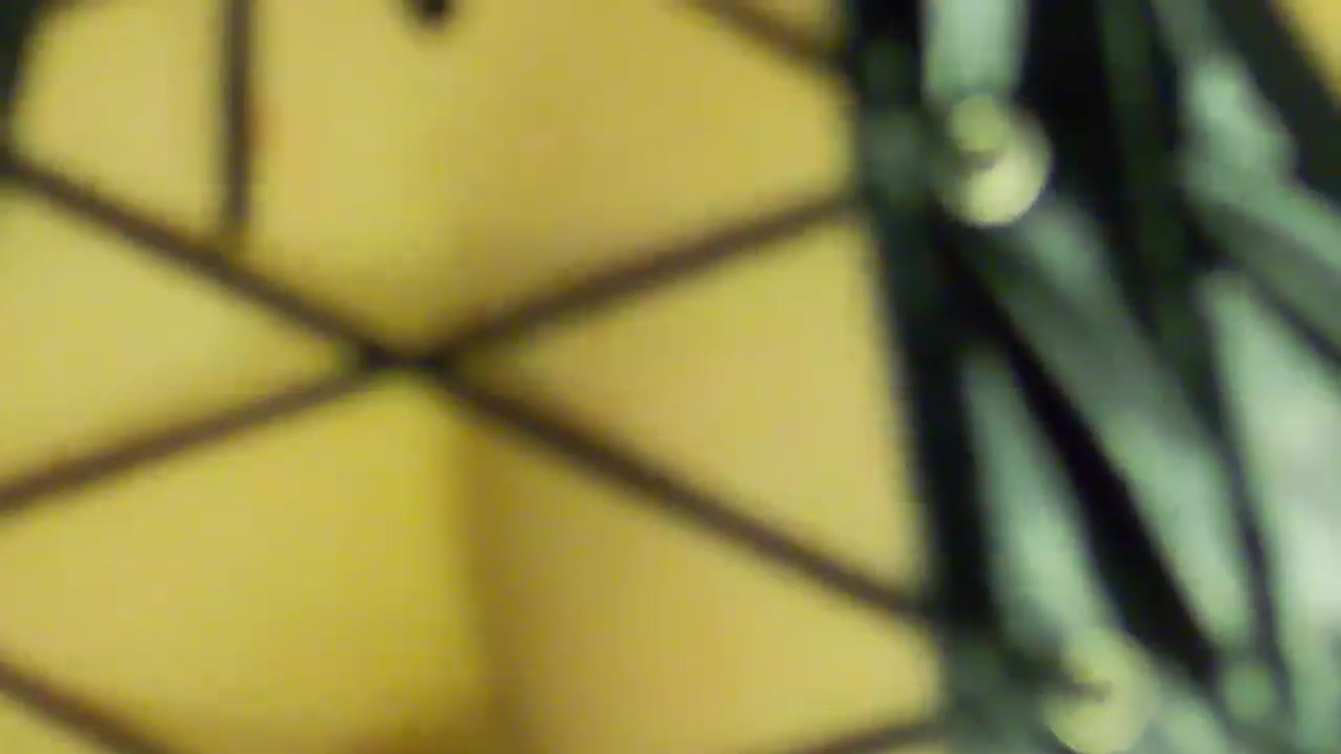 Gallery image thumbnail from NotVanilla's myfreecams stream on, 03/01/2026, 03:08 image 17 of 20